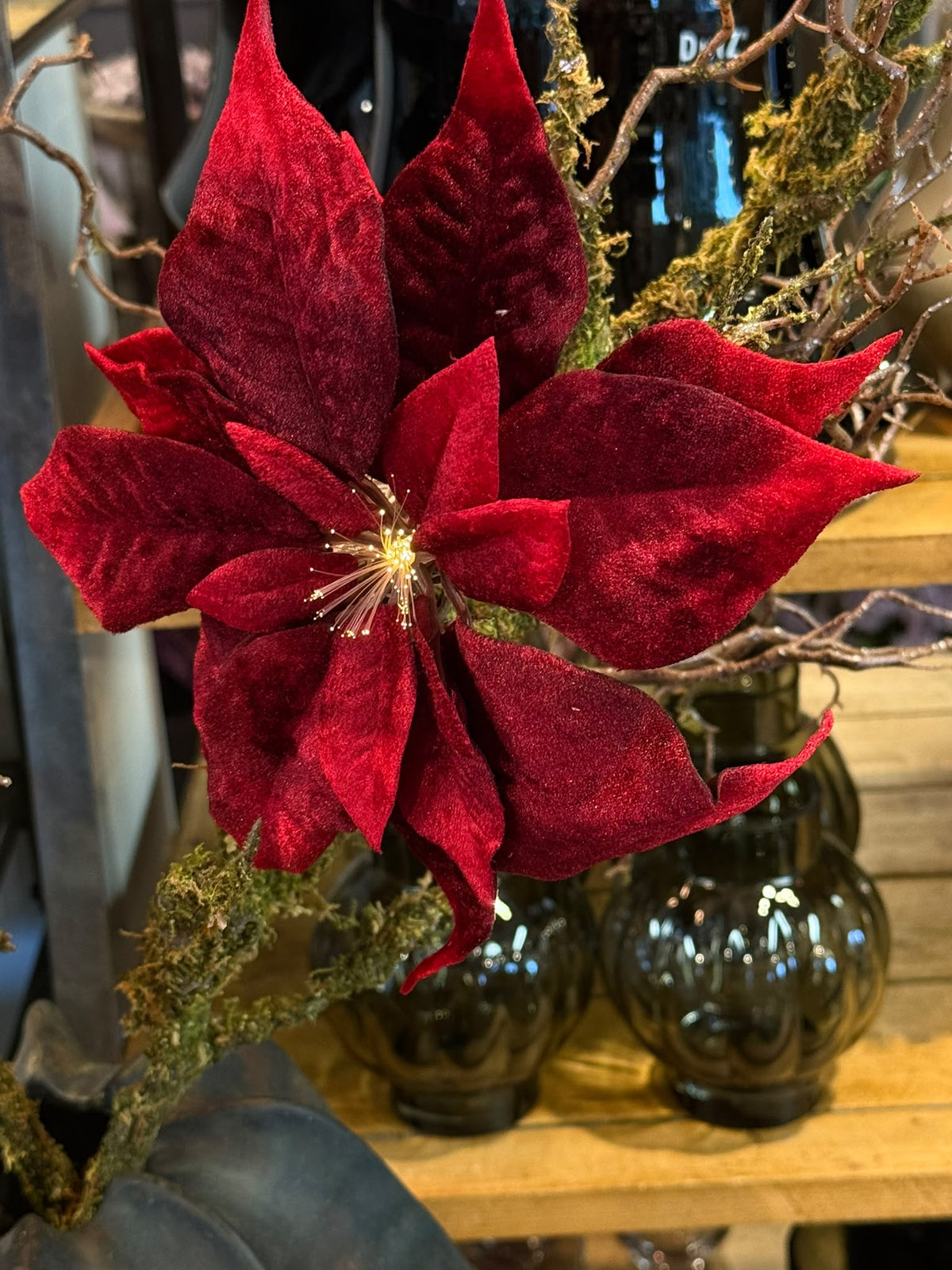 Weihnachtsstern Clip