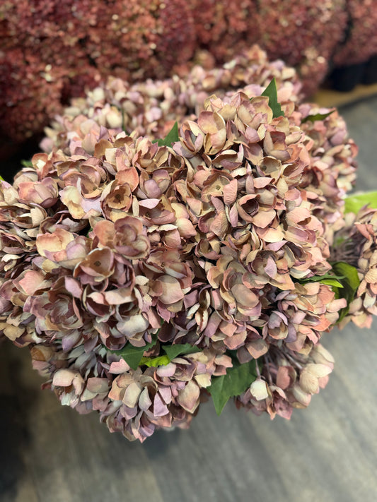 Seidenblume/Kunstblume  Hortensie Terrakotta kurz
