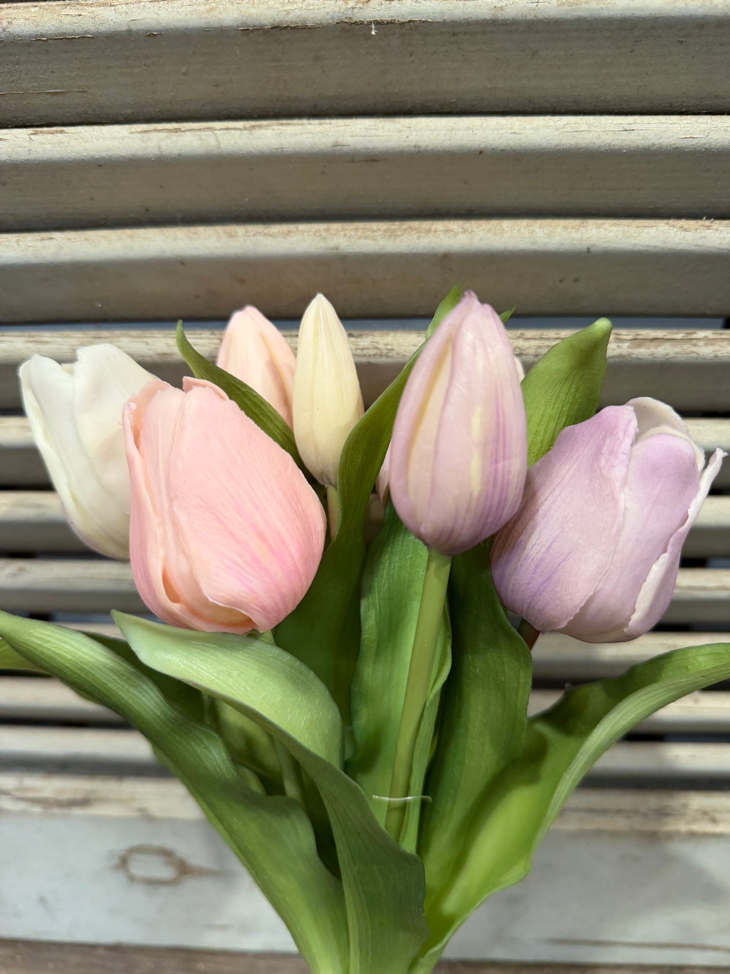 Seidenblume Tulpenbund Violett/Rosa reserviert für D.A.
