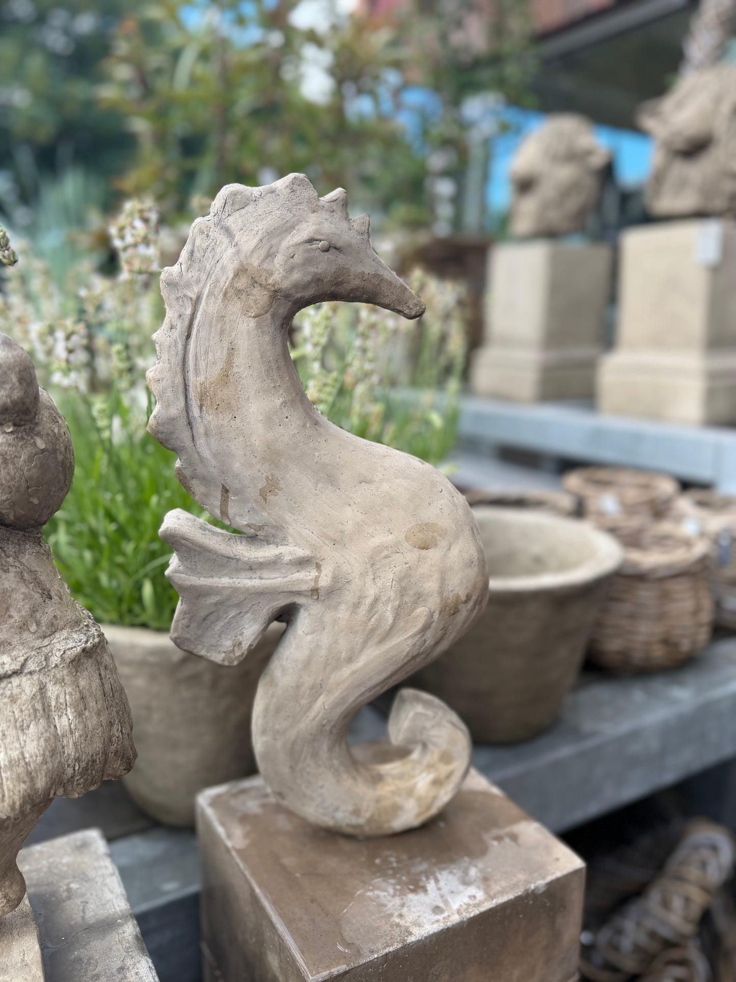 Gartenkunst Seepferdchen "Zoe"