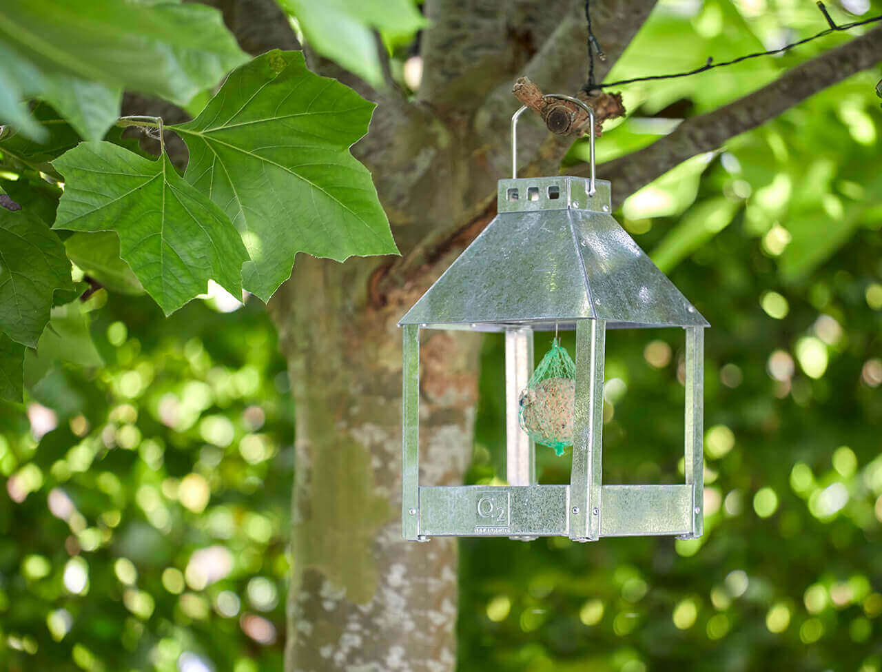 A2 Living Birdy Eat Vogelfutterhaus