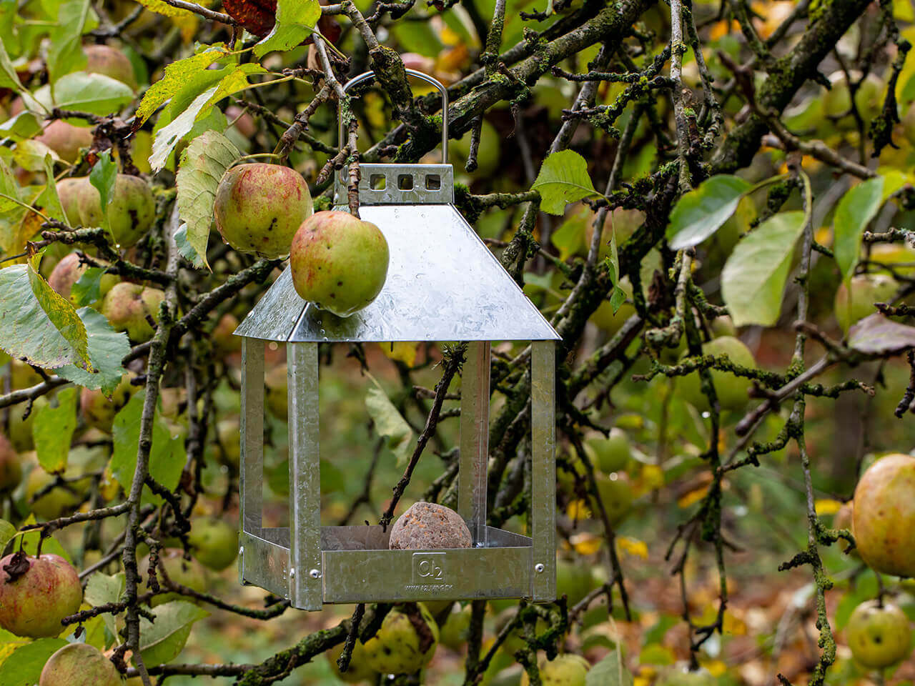 A2 Living Birdy Eat Vogelfutterhaus