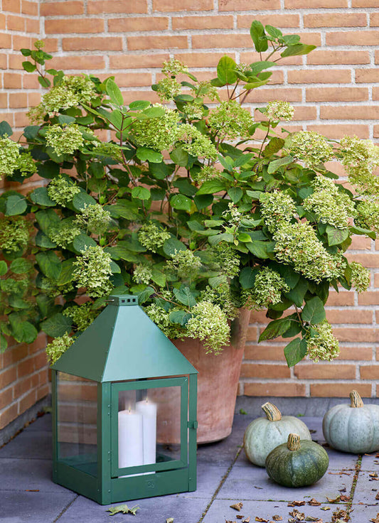 A2 Living Laterne Mega Quadro in Olive inklusive Fracht aus Dänemark