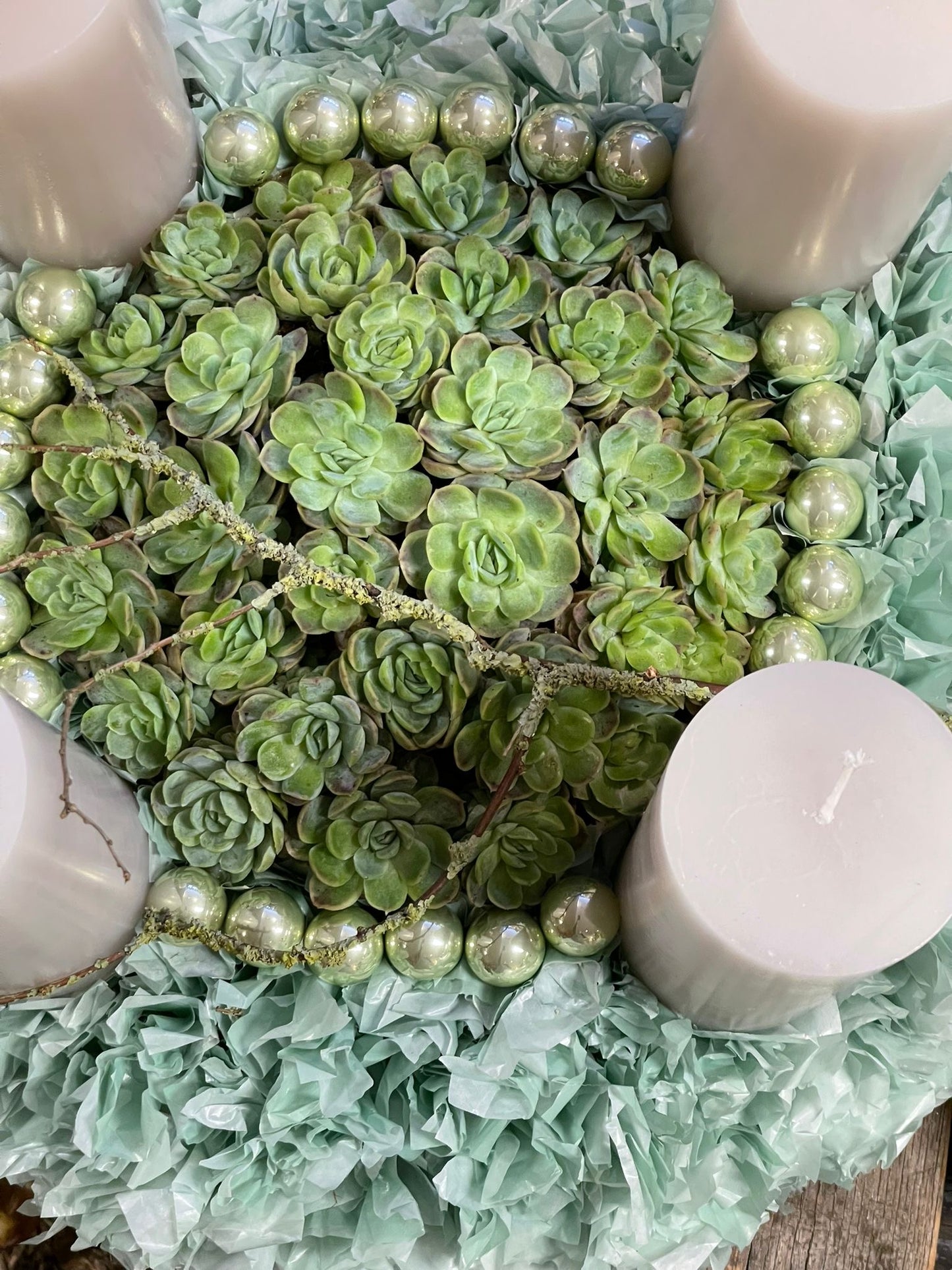 Adventskranz "Imke" Seidenpapier Mint mit Sukulenten