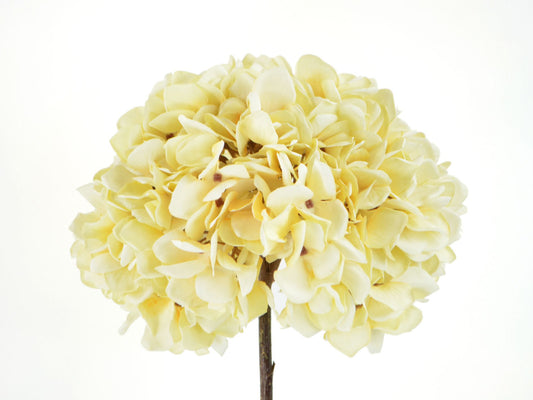 Seidenblumen Hortensienzweig Cremefarbe Seidenblume/Kunstblume