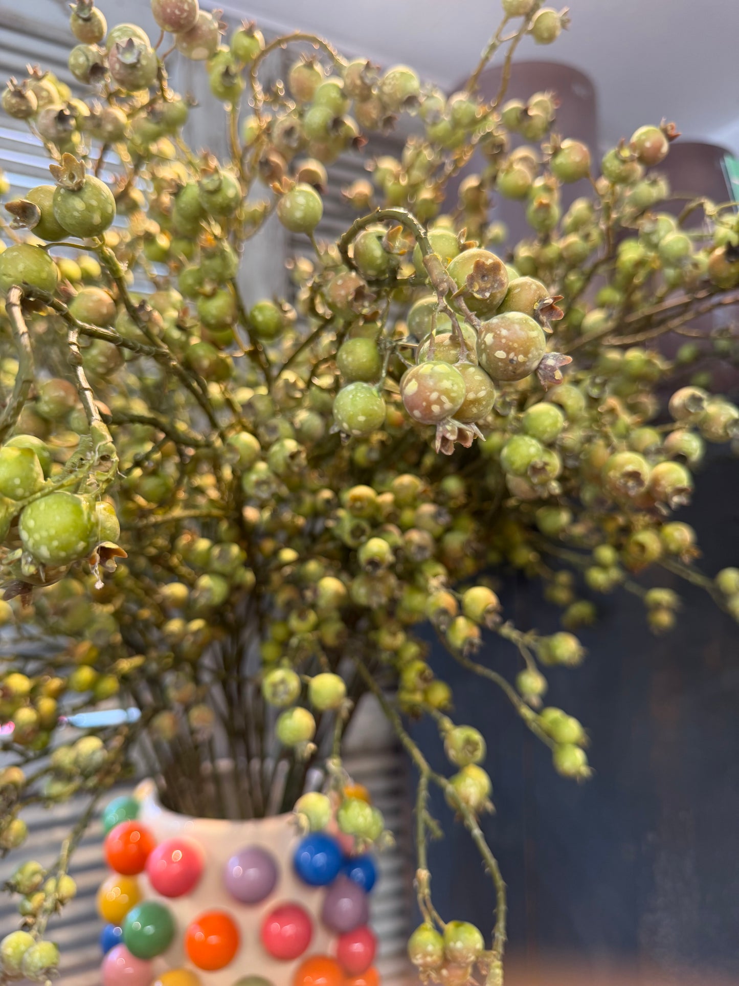 Seidenblume grüne Heidelbeeren am Ast