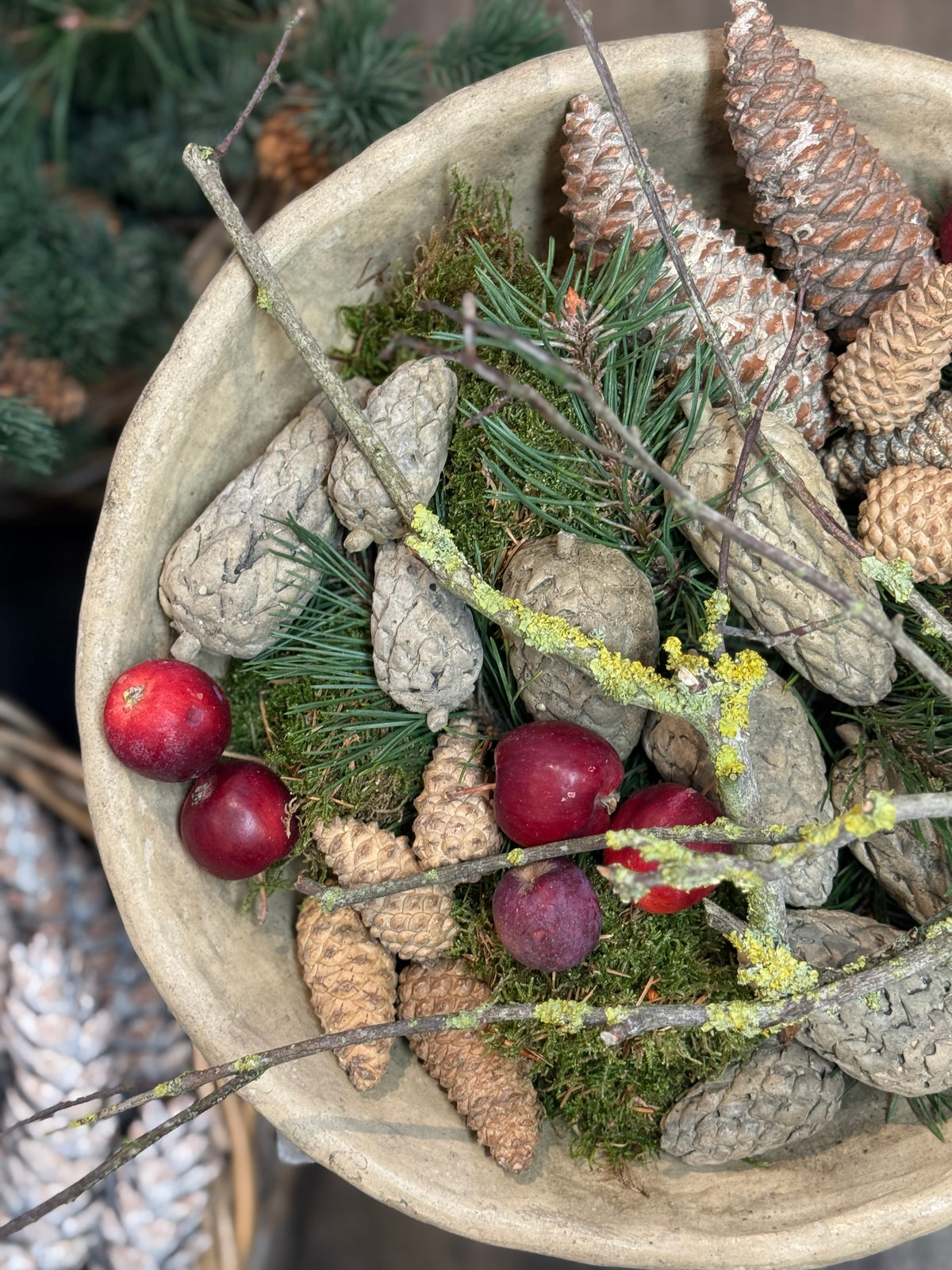 Gartenkunst Pinienzapfen‼️Lieferung erst ab Ende Oktober ‼️