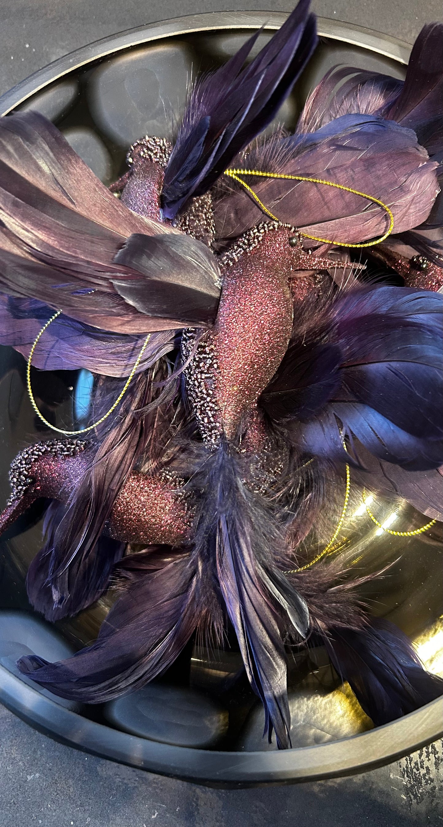 Kolibri
