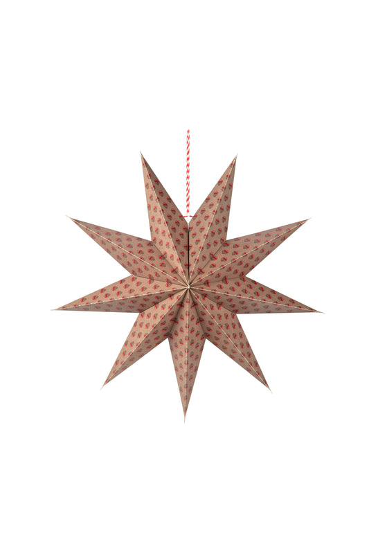 Weihnachtsstern aus Papier Jaipur Blume von Pip Studio