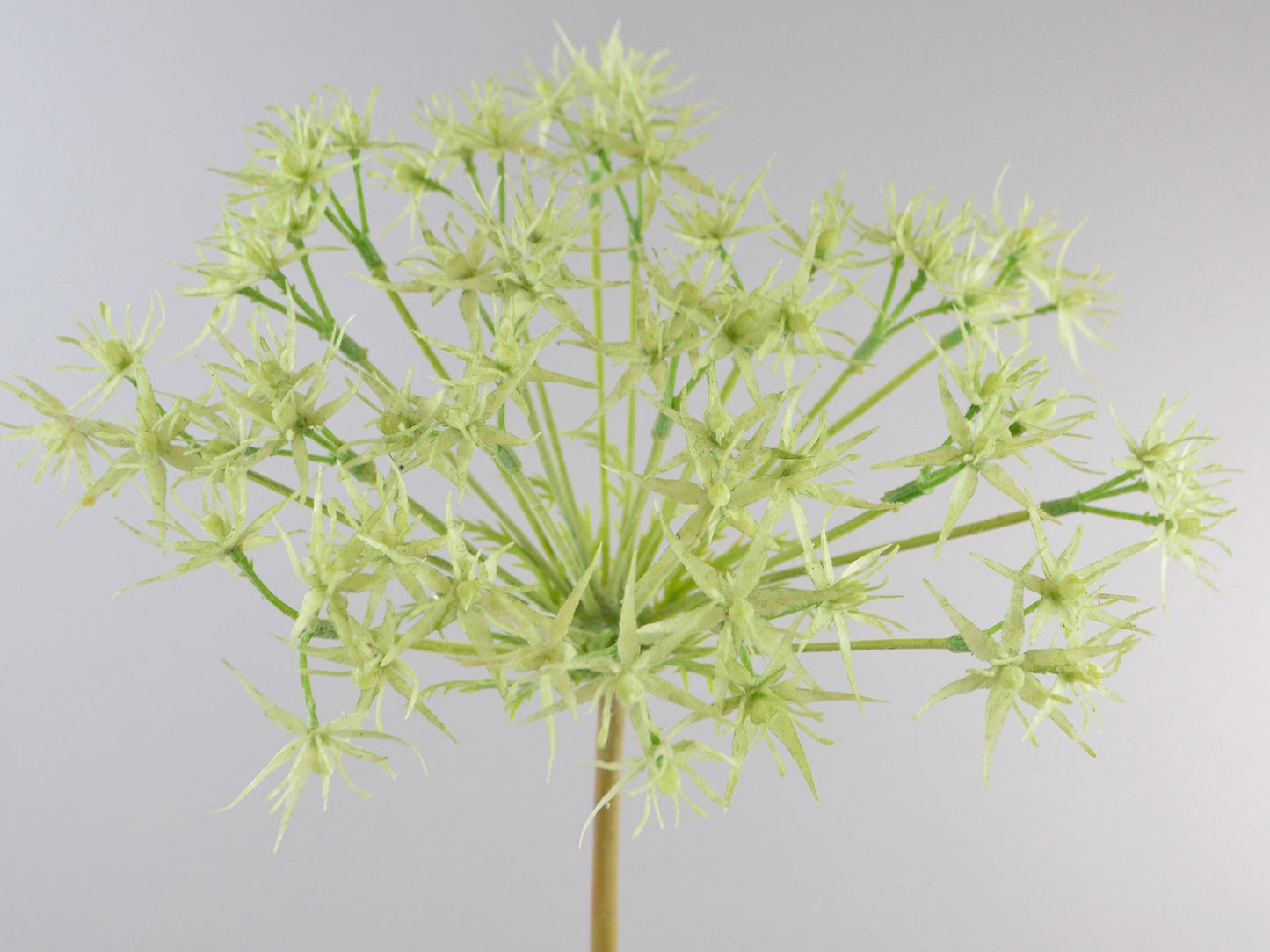 Seidenblume/Kunstblume Papyrus-Zweig Grün