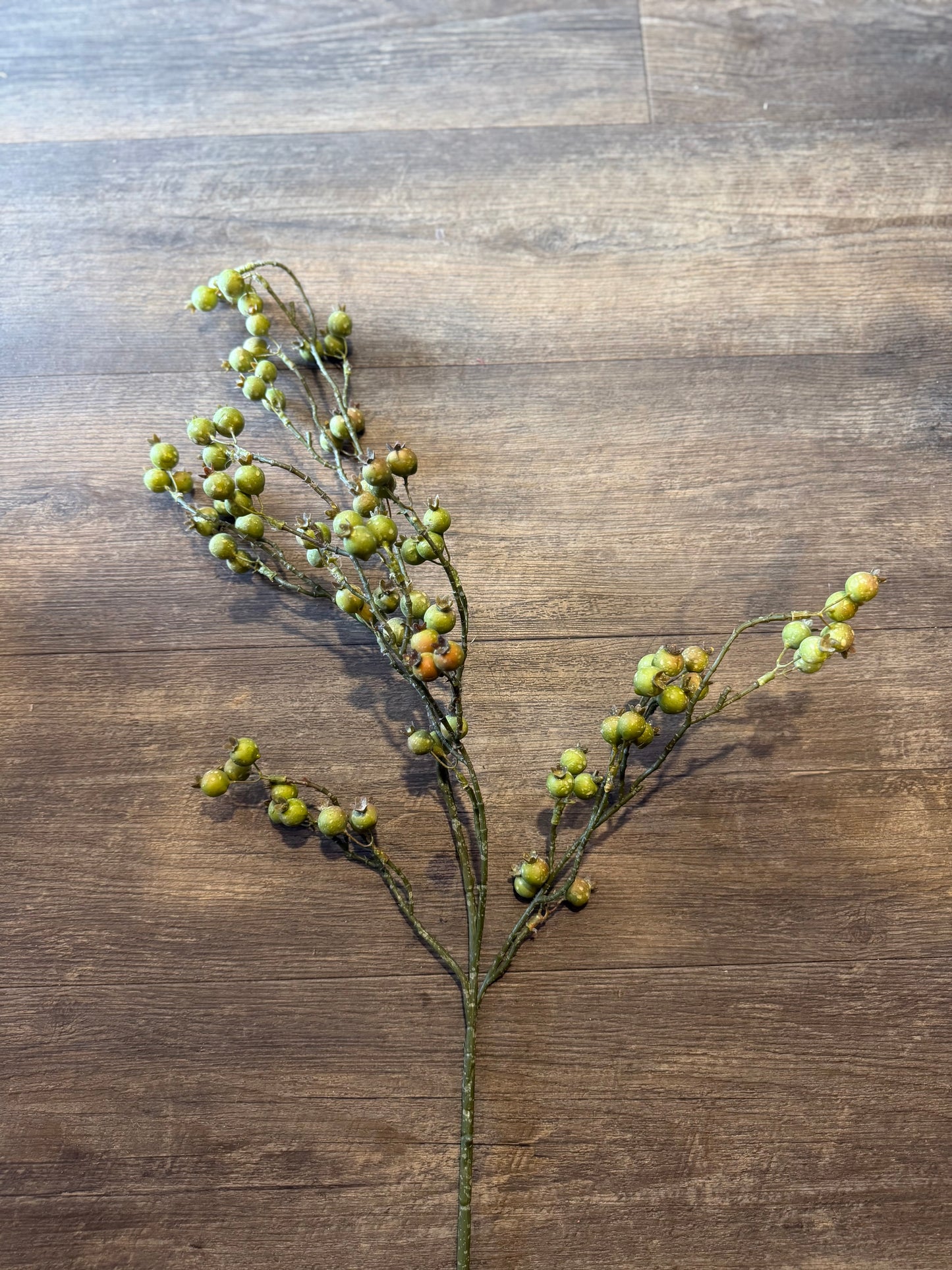 Seidenblume grüne Heidelbeeren am Ast