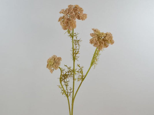 Seidenblumen Schafgabe Queen-Anne´s Zweig Braun Seidenblume/Kunstblume