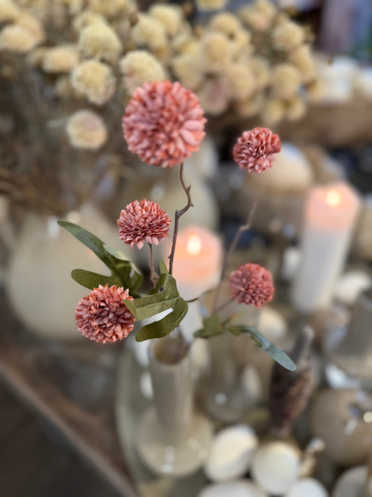Seidenblume kräftig Rose