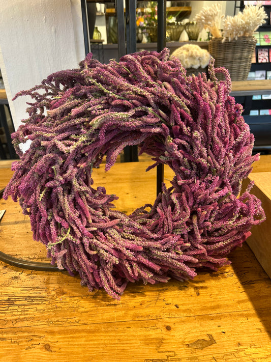 Limonium Kranz