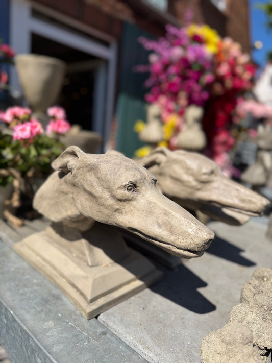 Gartenkunst Greyhound inklusive Versand