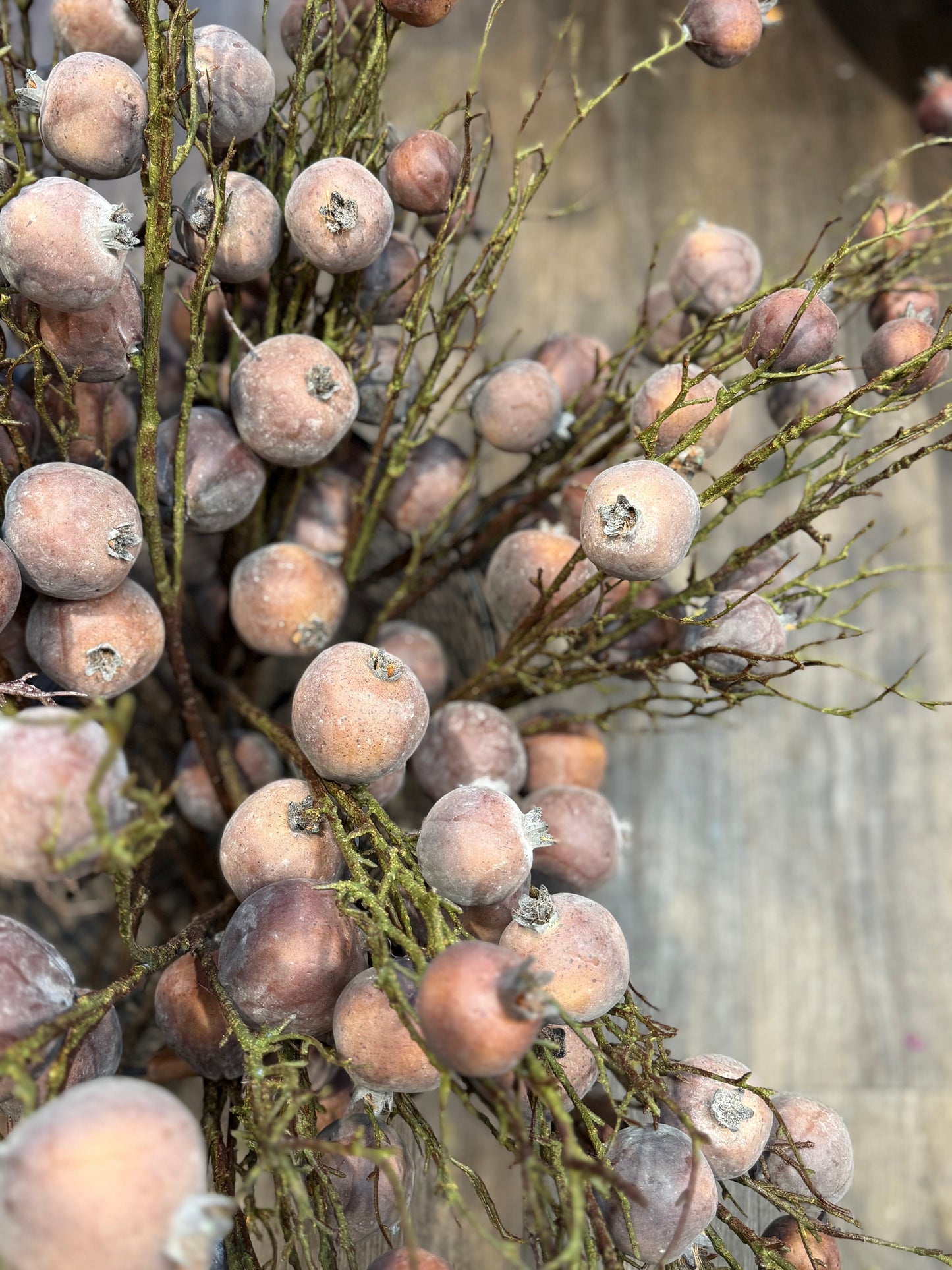 Seidenblume Granatapfel