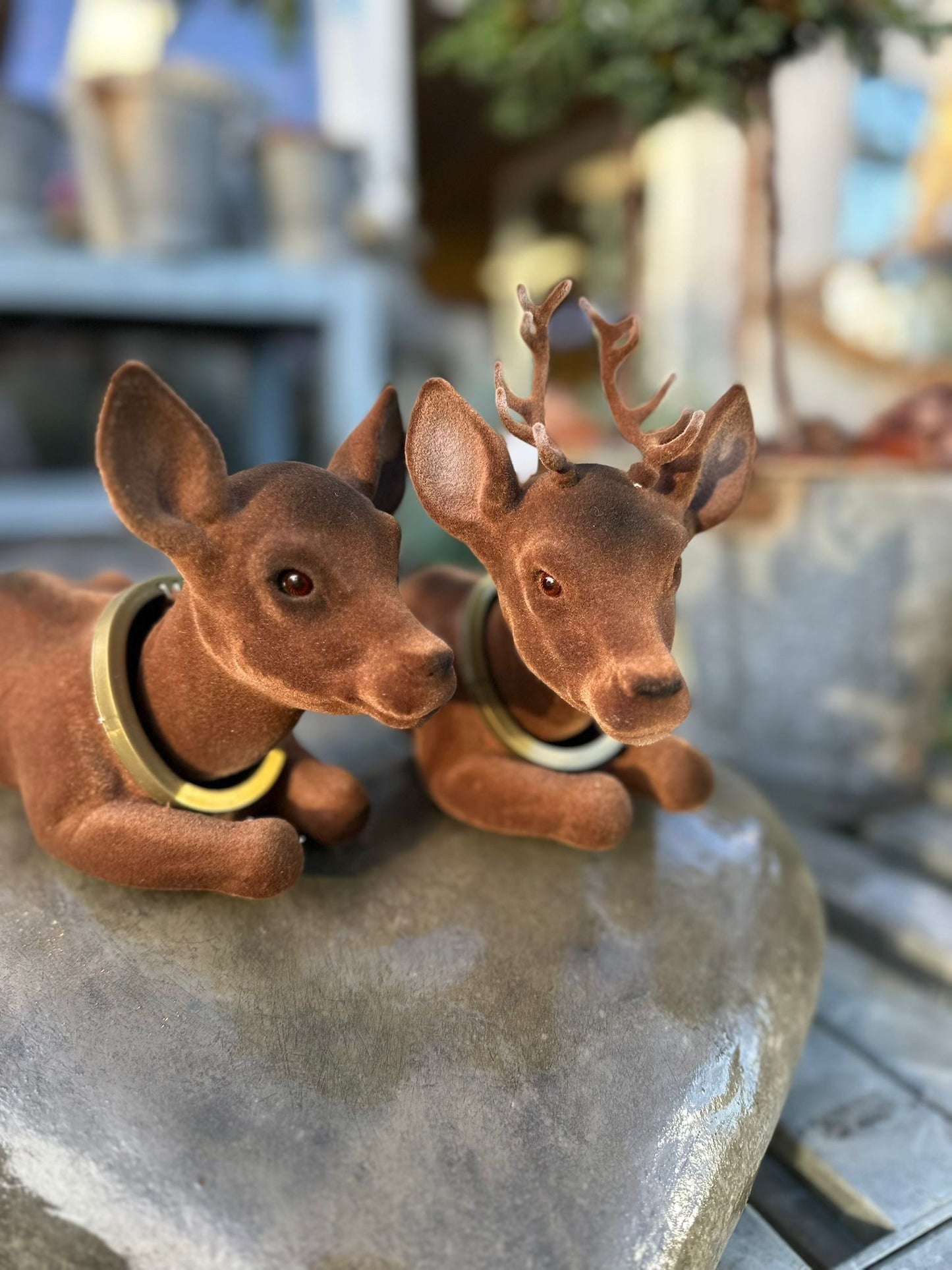 Wackelhirsch oder Reh in verschiedenen Farben