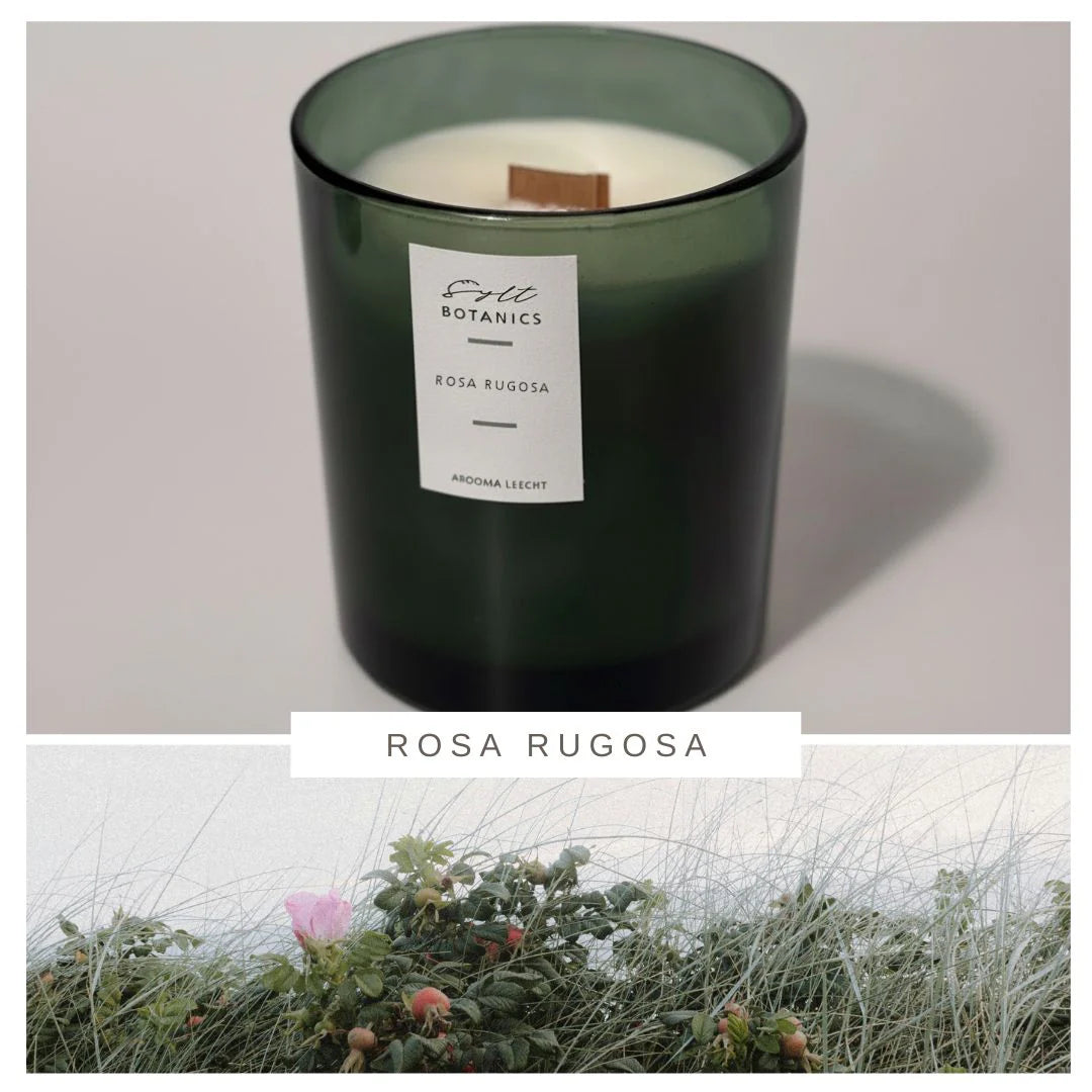 Sylt Botanics Duftkerze Rosa Rugosa