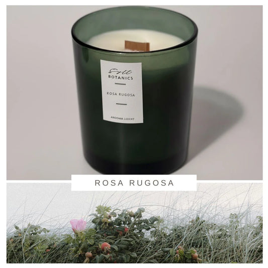 Sylt Botanics Duftkerze Rosa Rugosa