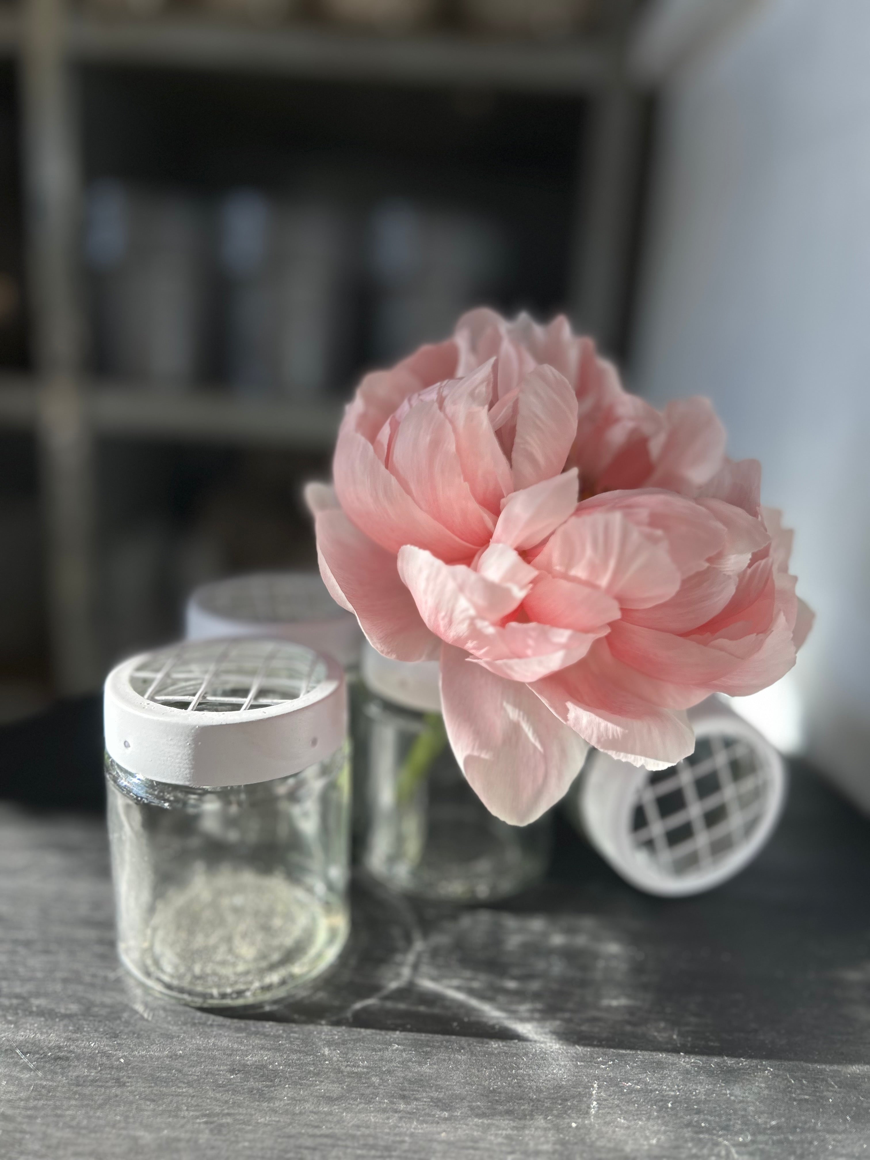 Schraubglas Vase mit Netzdeckel