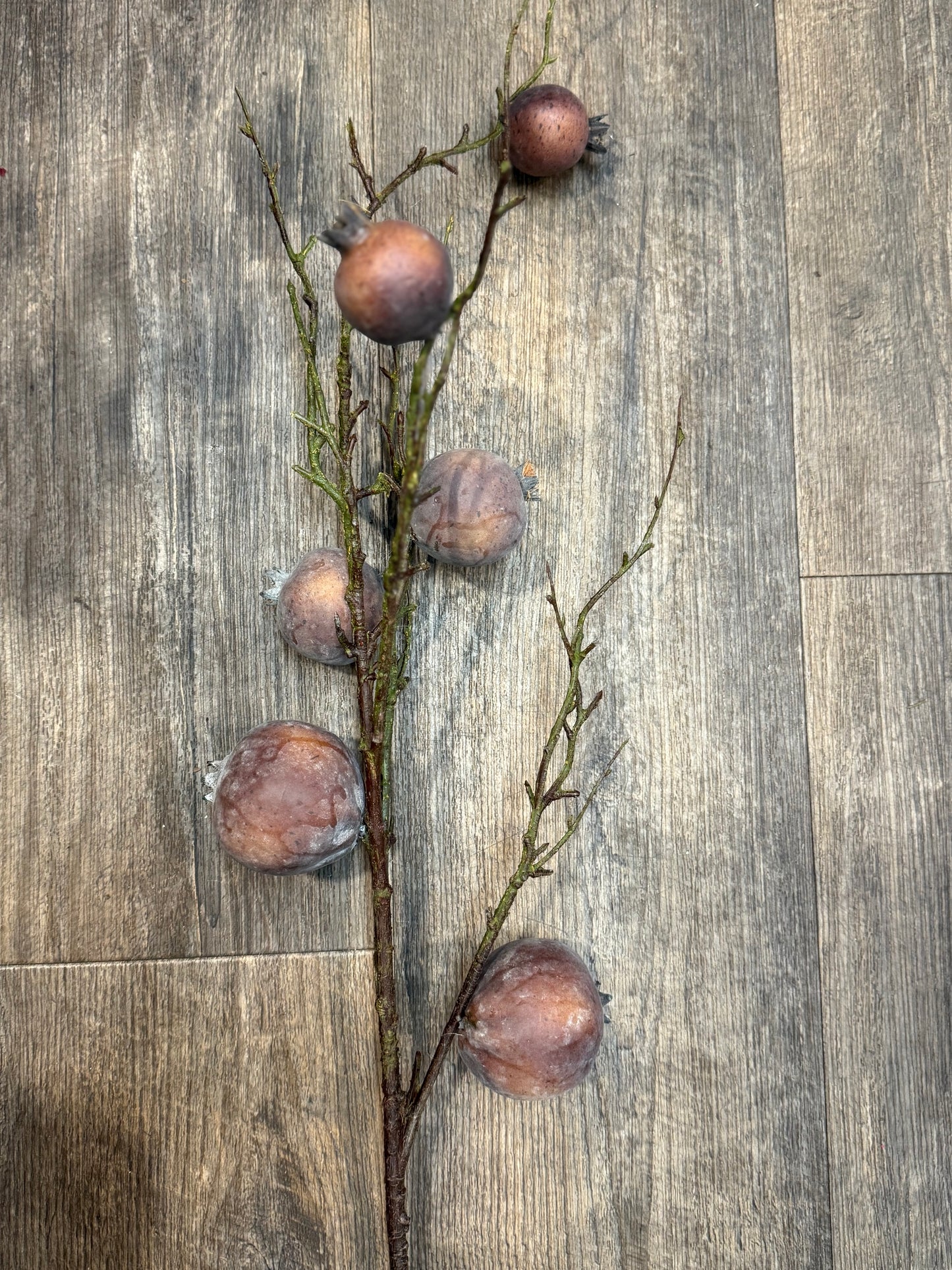 Seidenblume Granatapfel