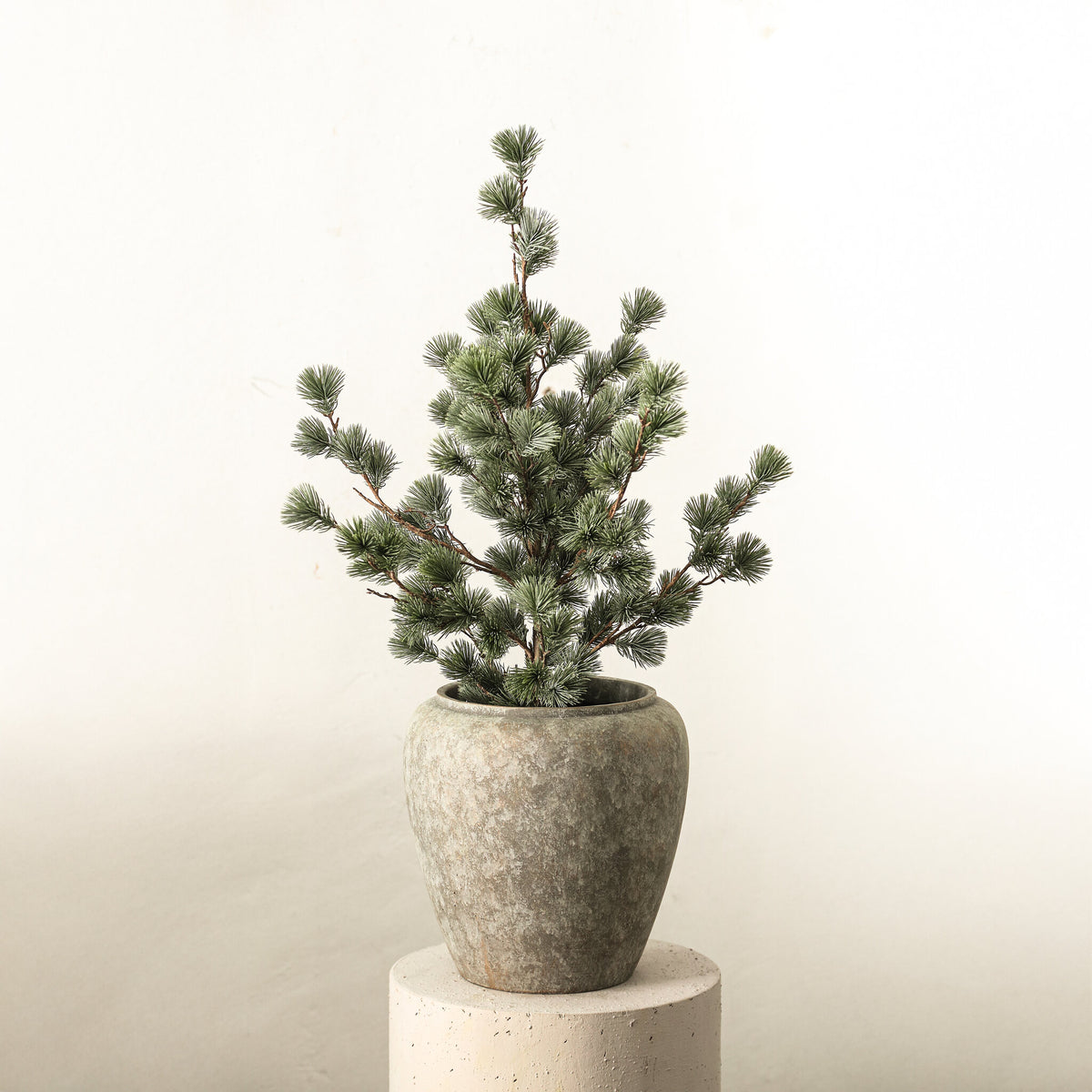 künstliche Zeder 80cm hoch
