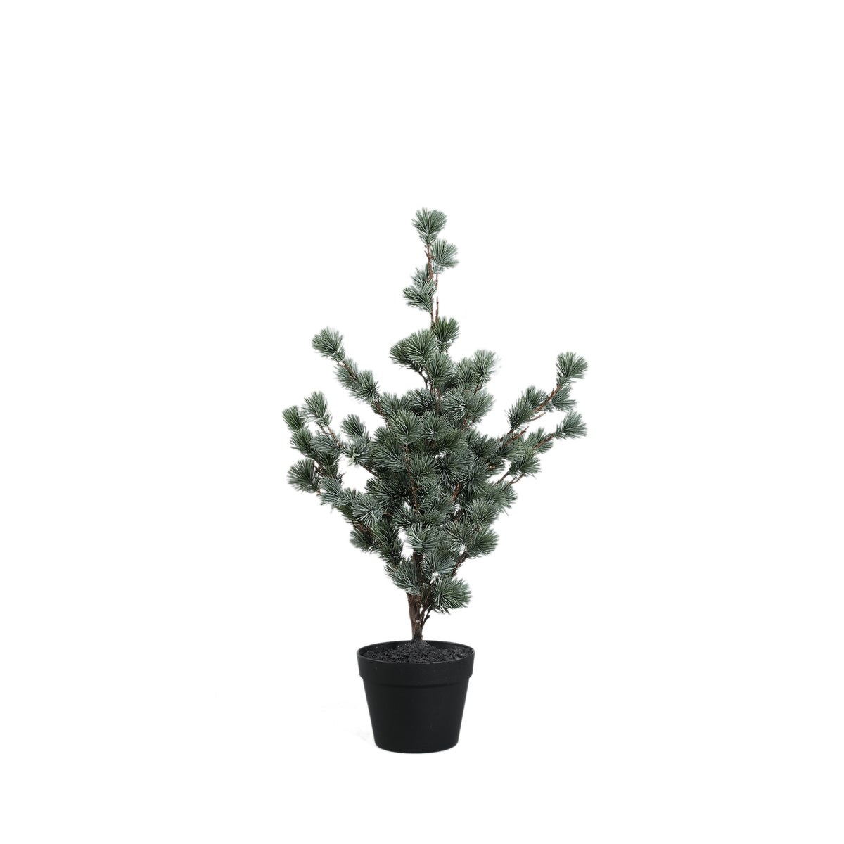 künstliche Zeder 80cm hoch