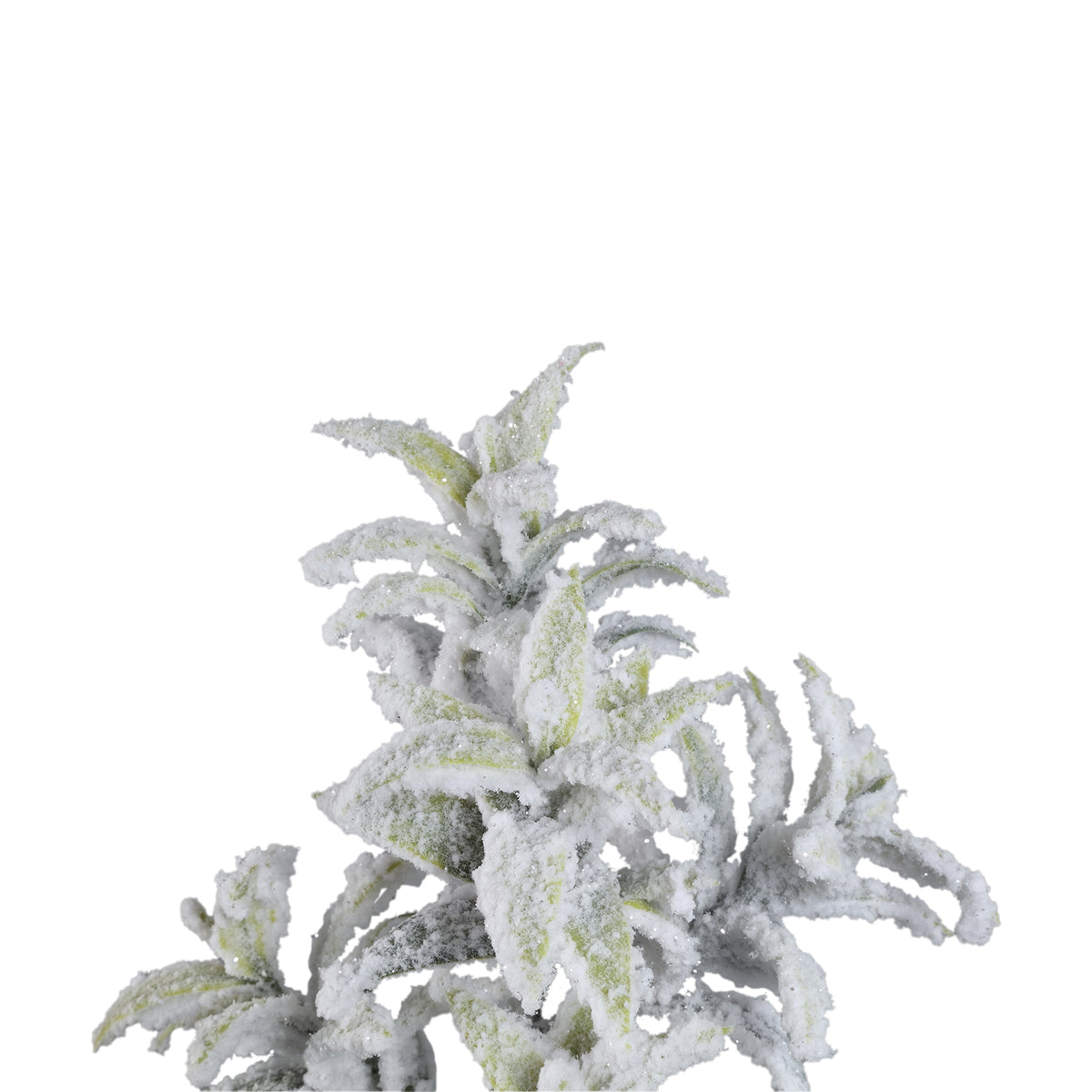 Kunstblume Grüner Zweig einer Lorbeerpflanze, mit Schnee bedeckt