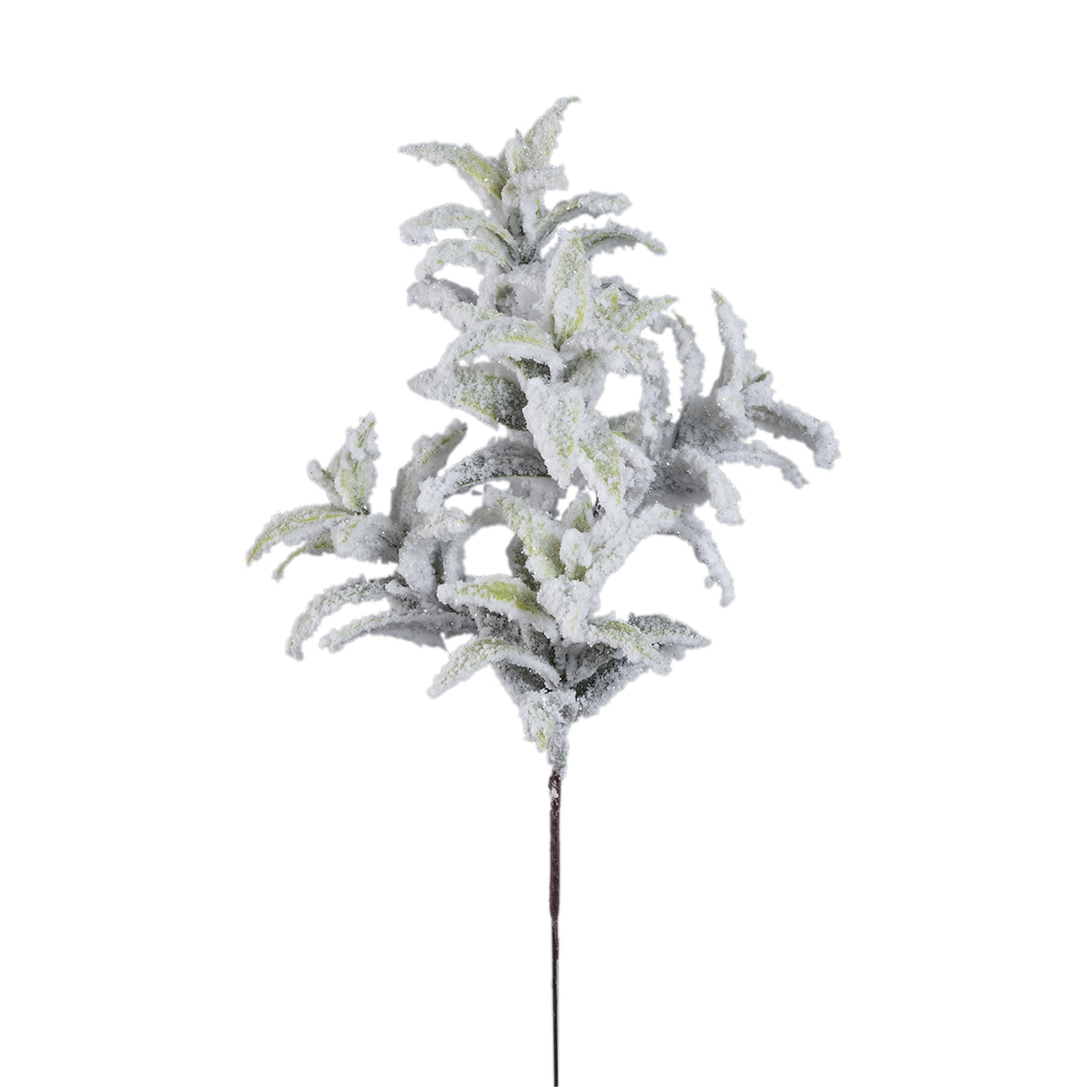 Kunstblume Grüner Zweig einer Lorbeerpflanze, mit Schnee bedeckt