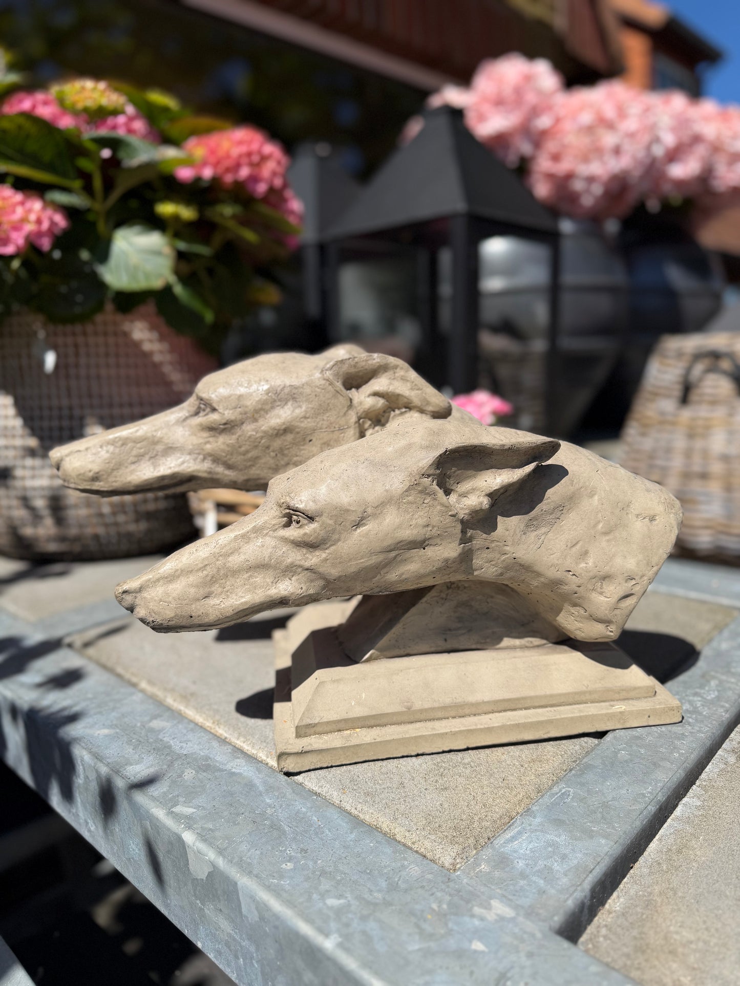 Gartenkunst Greyhound
