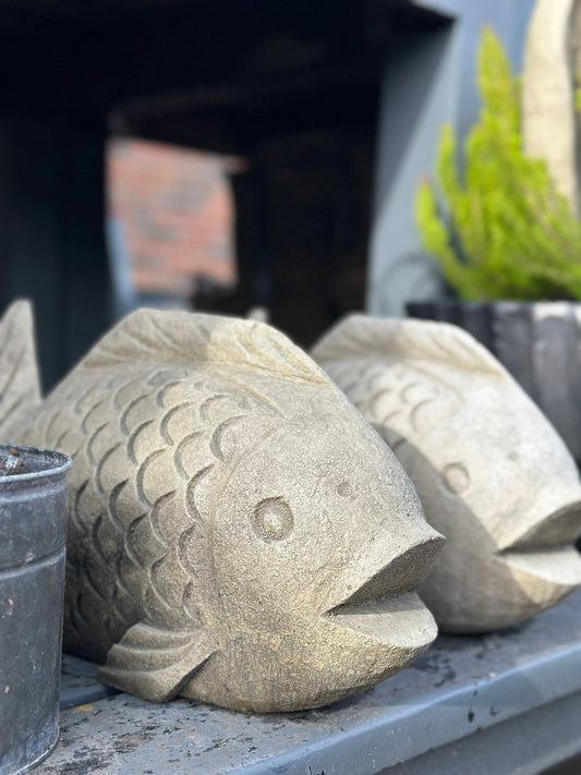 Fisch Wanda