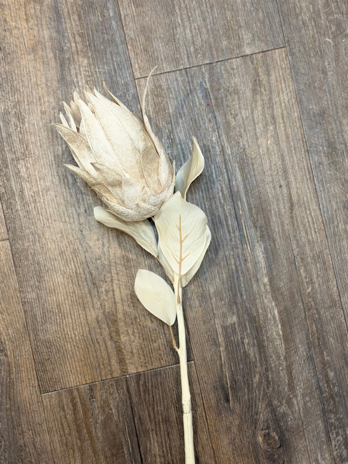 Seidenblume/Kunstblume Königsprotea