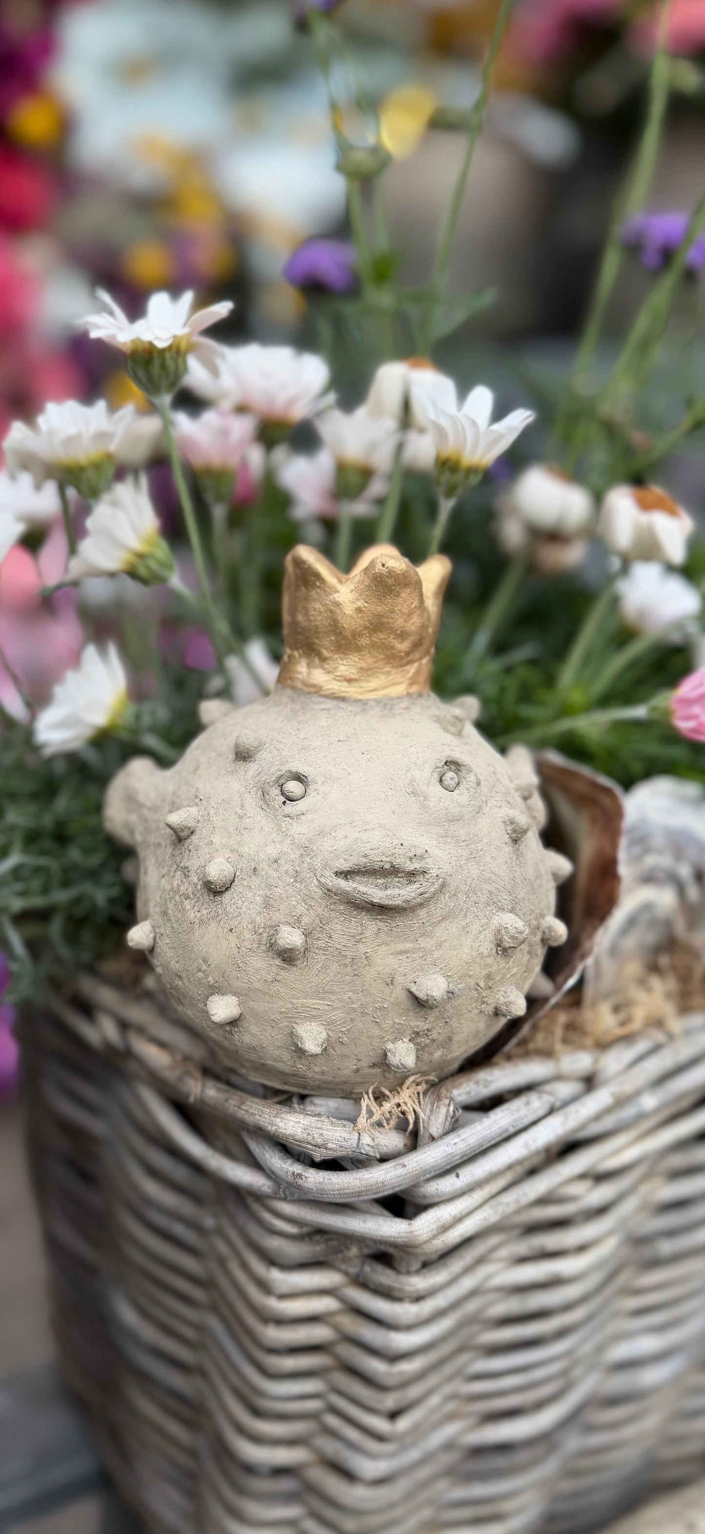 Gartenkunst Kaiserin Ki-Mono Kugelfisch mit Goldkrone