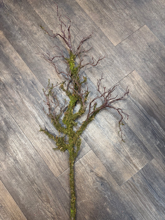 Seidenblume/Kunstblume  bemoster Ast