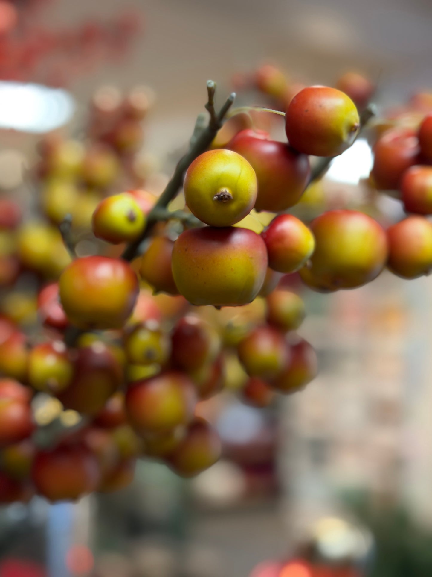 Apfelzweige künstlich