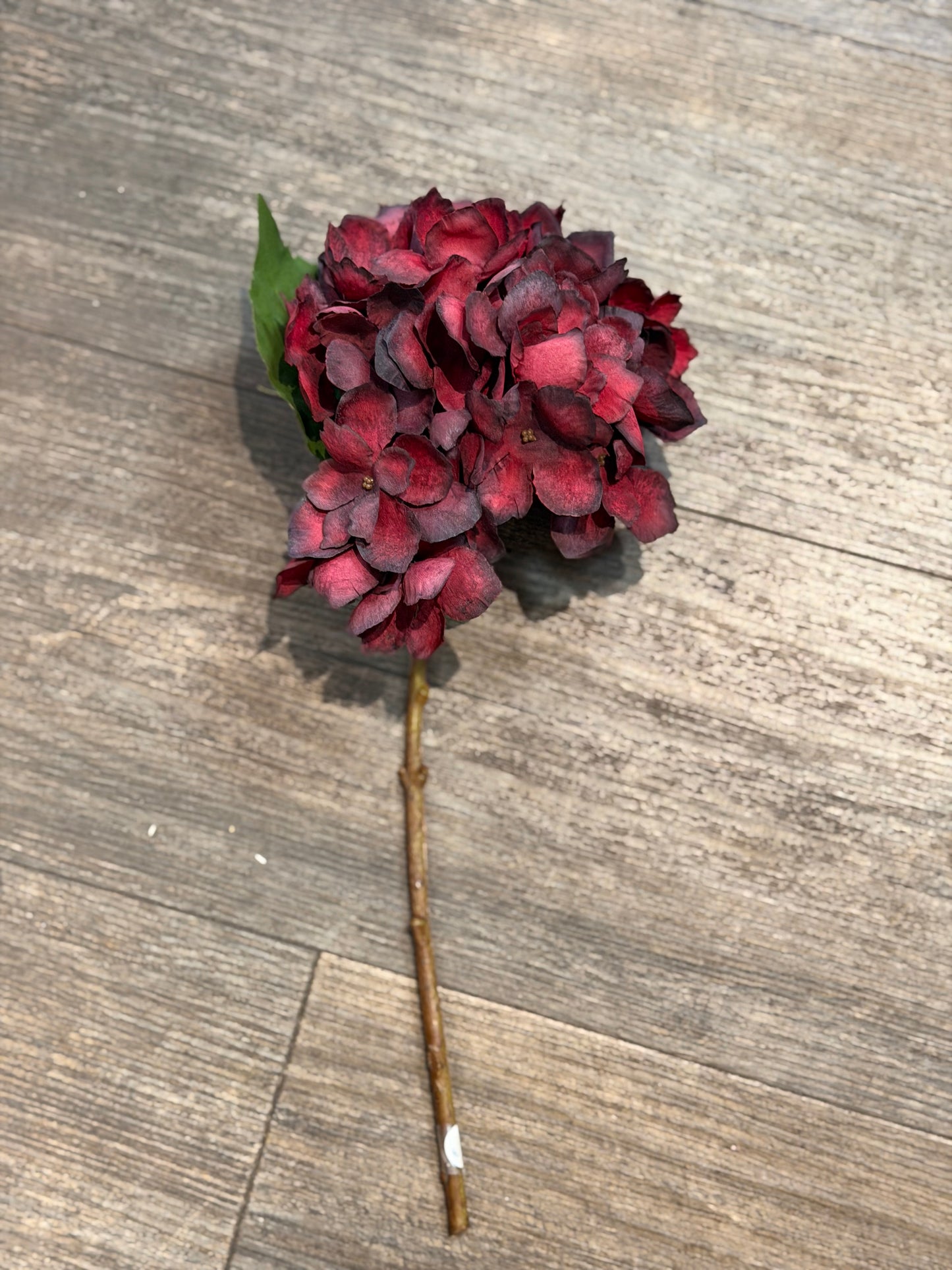 Seidenblume Hortensie kurz Pflaume