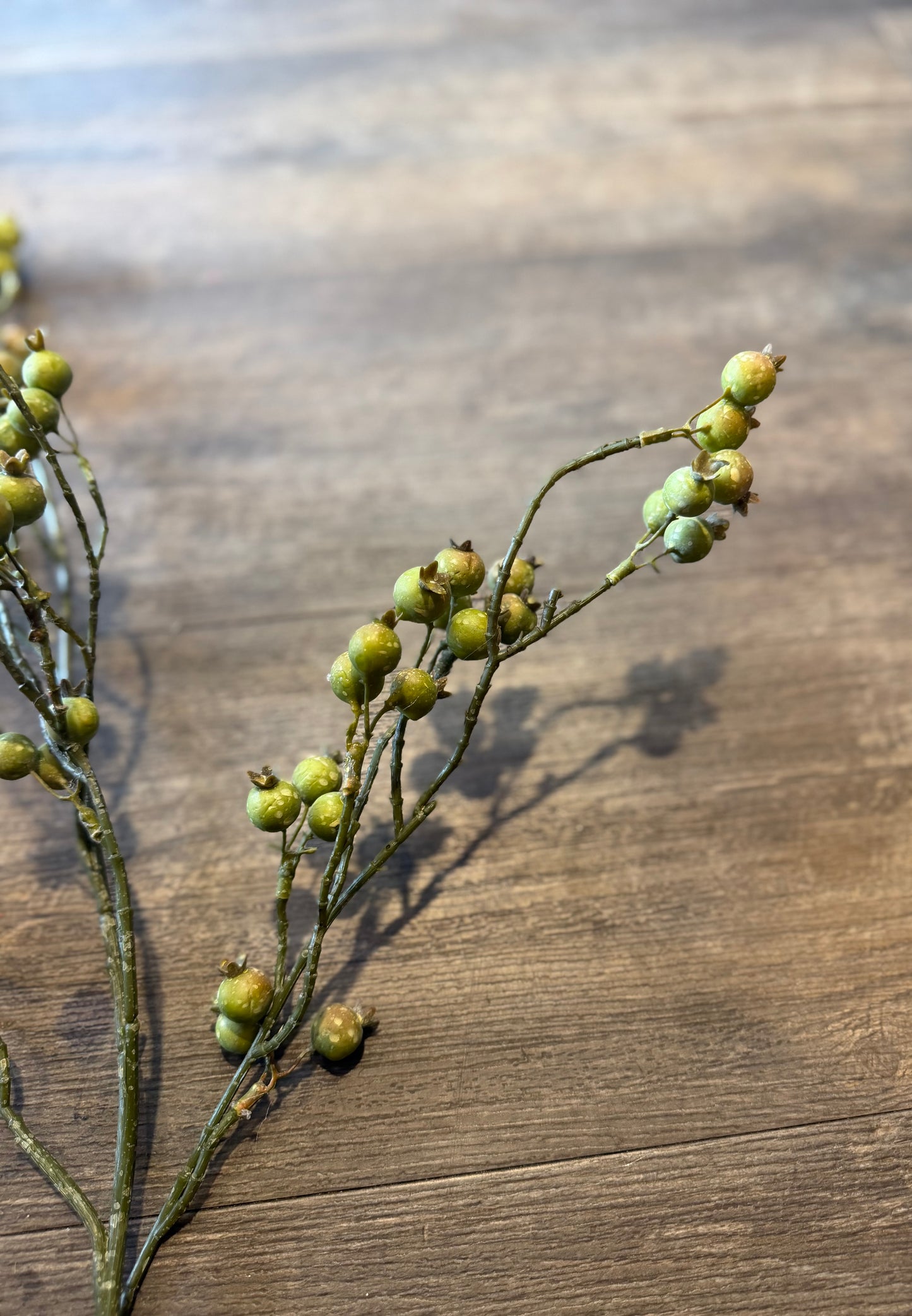 Seidenblume grüne Heidelbeeren am Ast