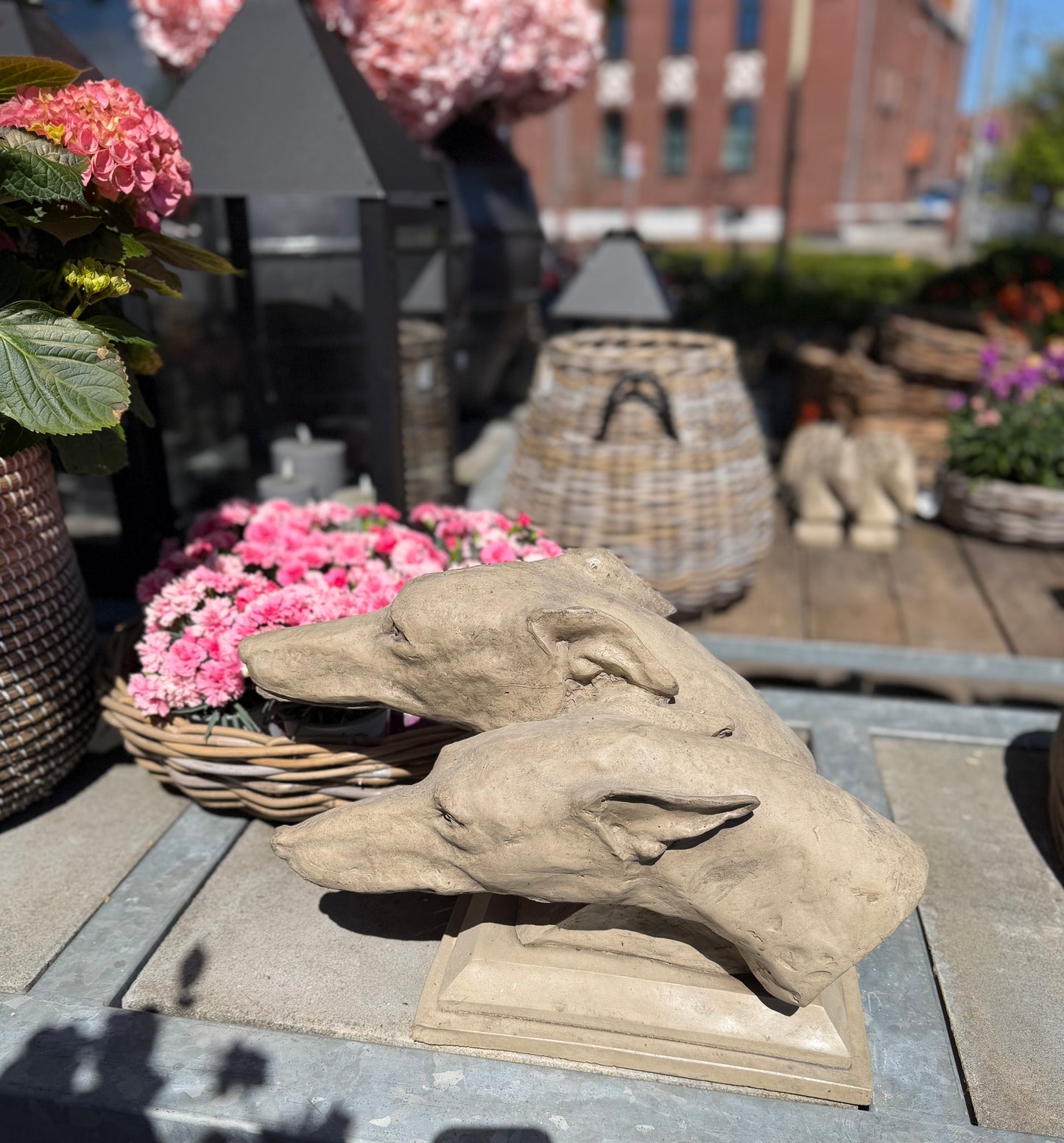 Gartenkunst Greyhound