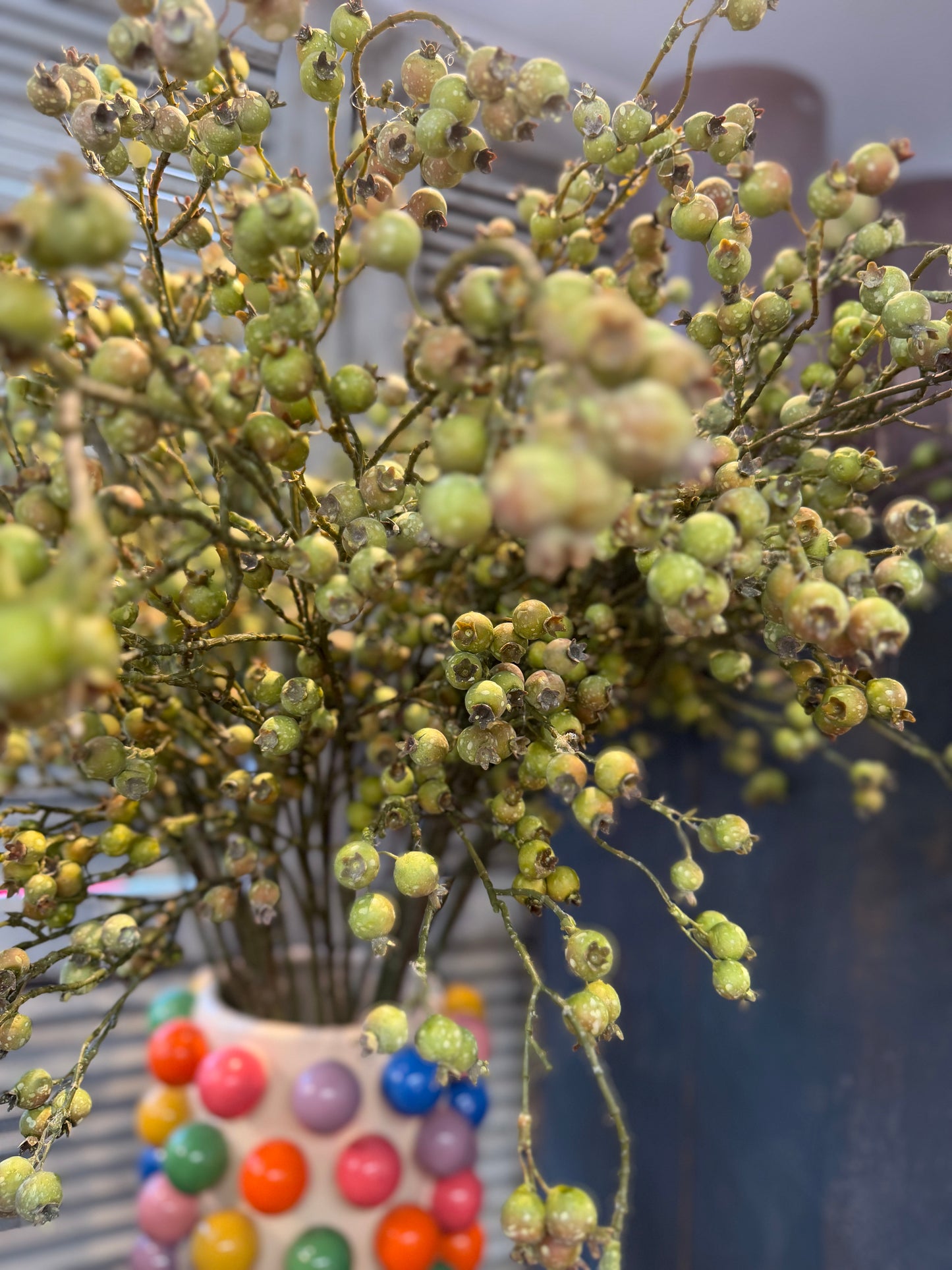 Seidenblume grüne Heidelbeeren am Ast