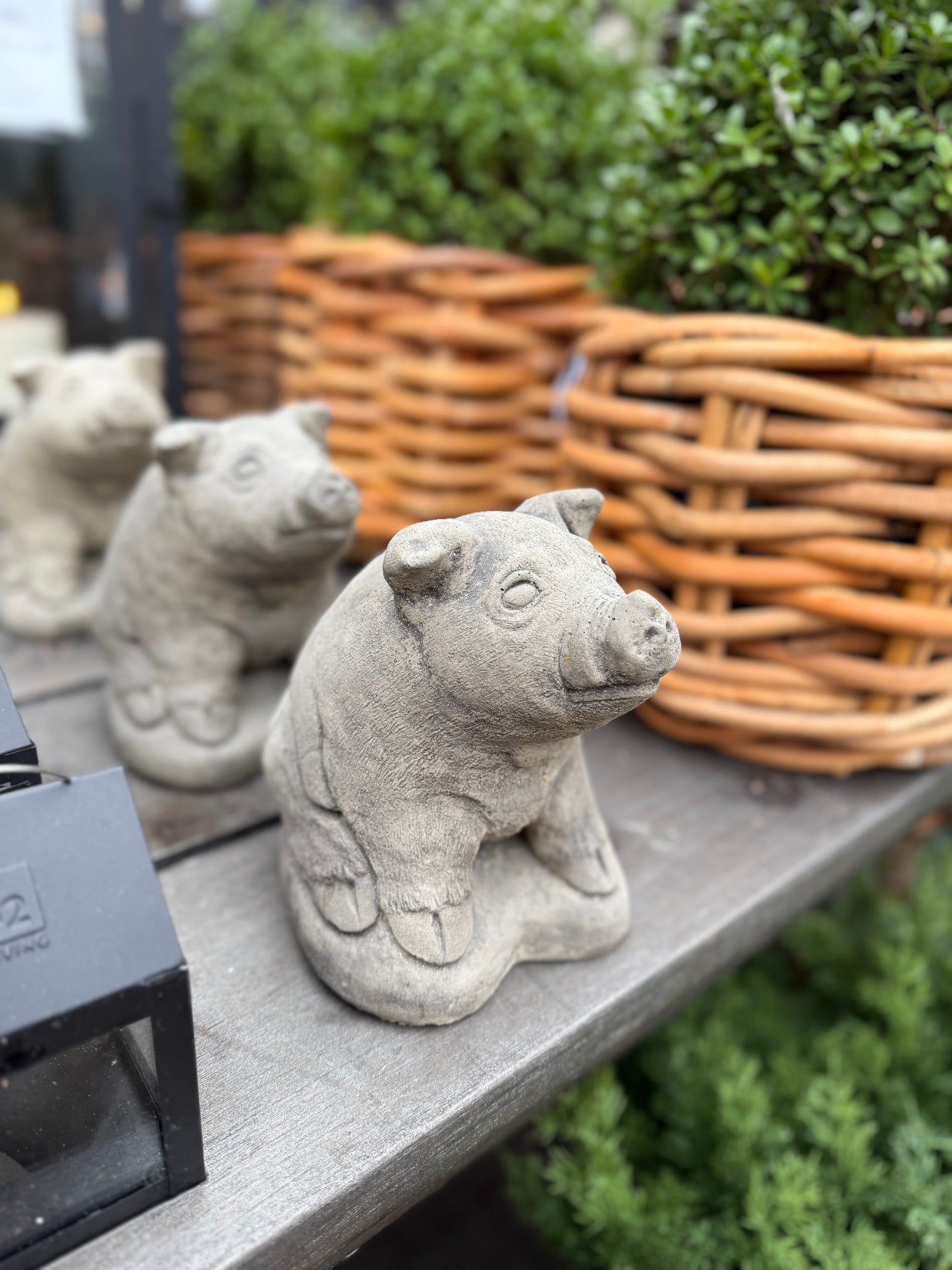 Max-das Ferkel Beton