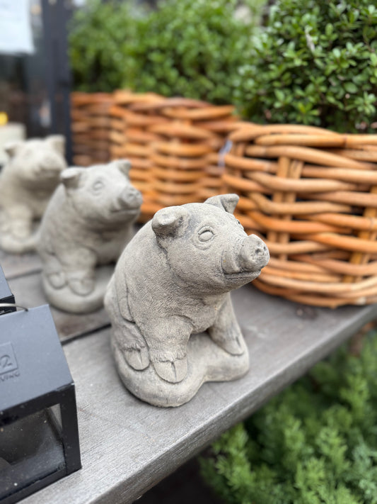 Max-das Ferkel Beton