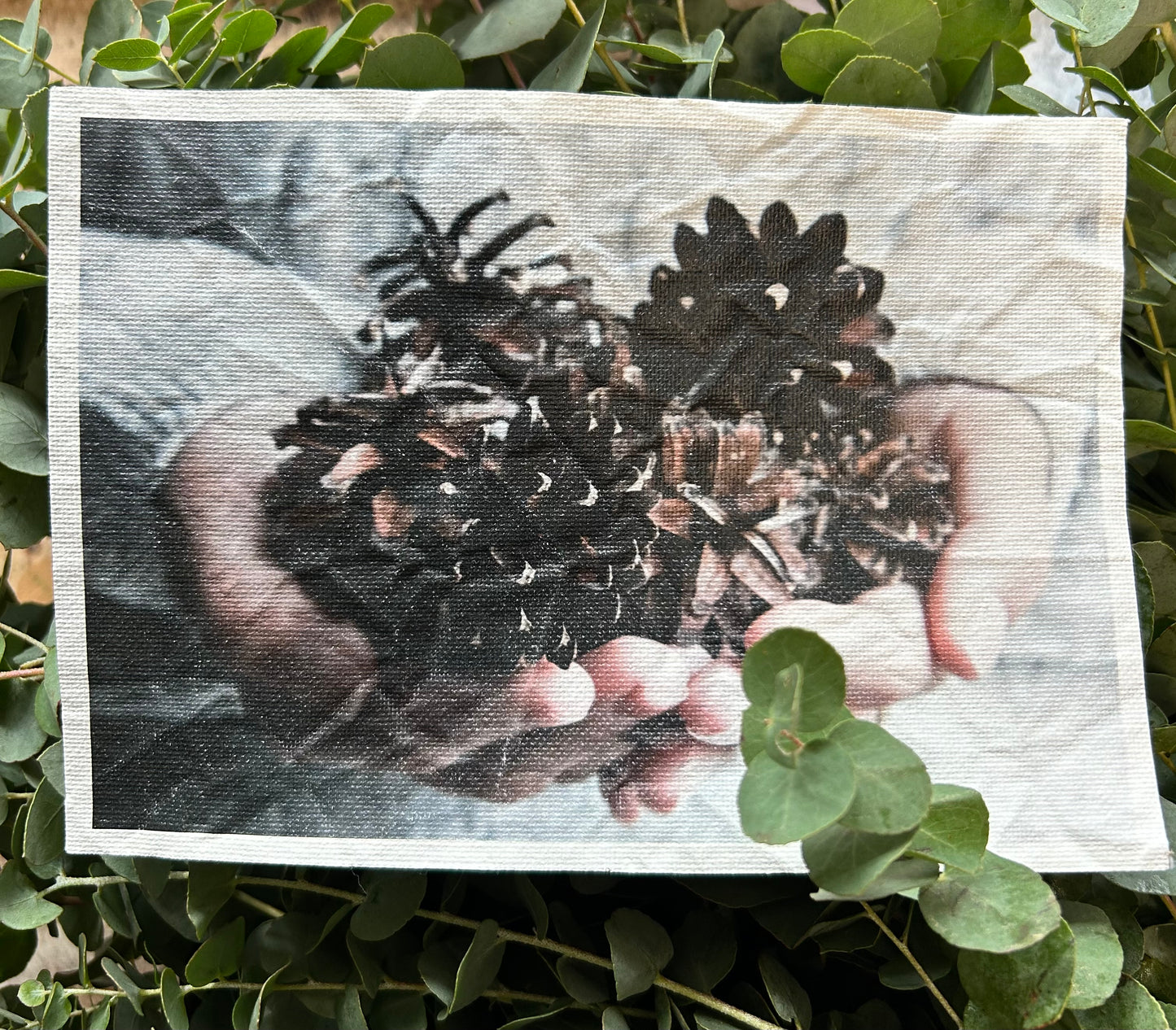 Segeltuch Bilder
