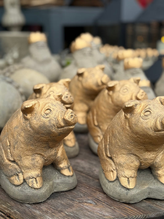 Max-das Ferkel Beton Gold