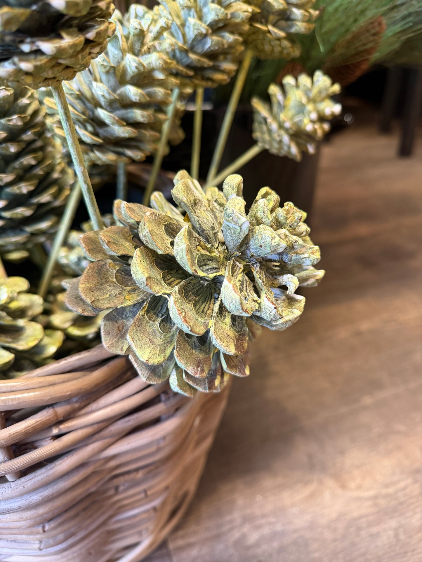 Zapfen gewachst verschiedene Farben