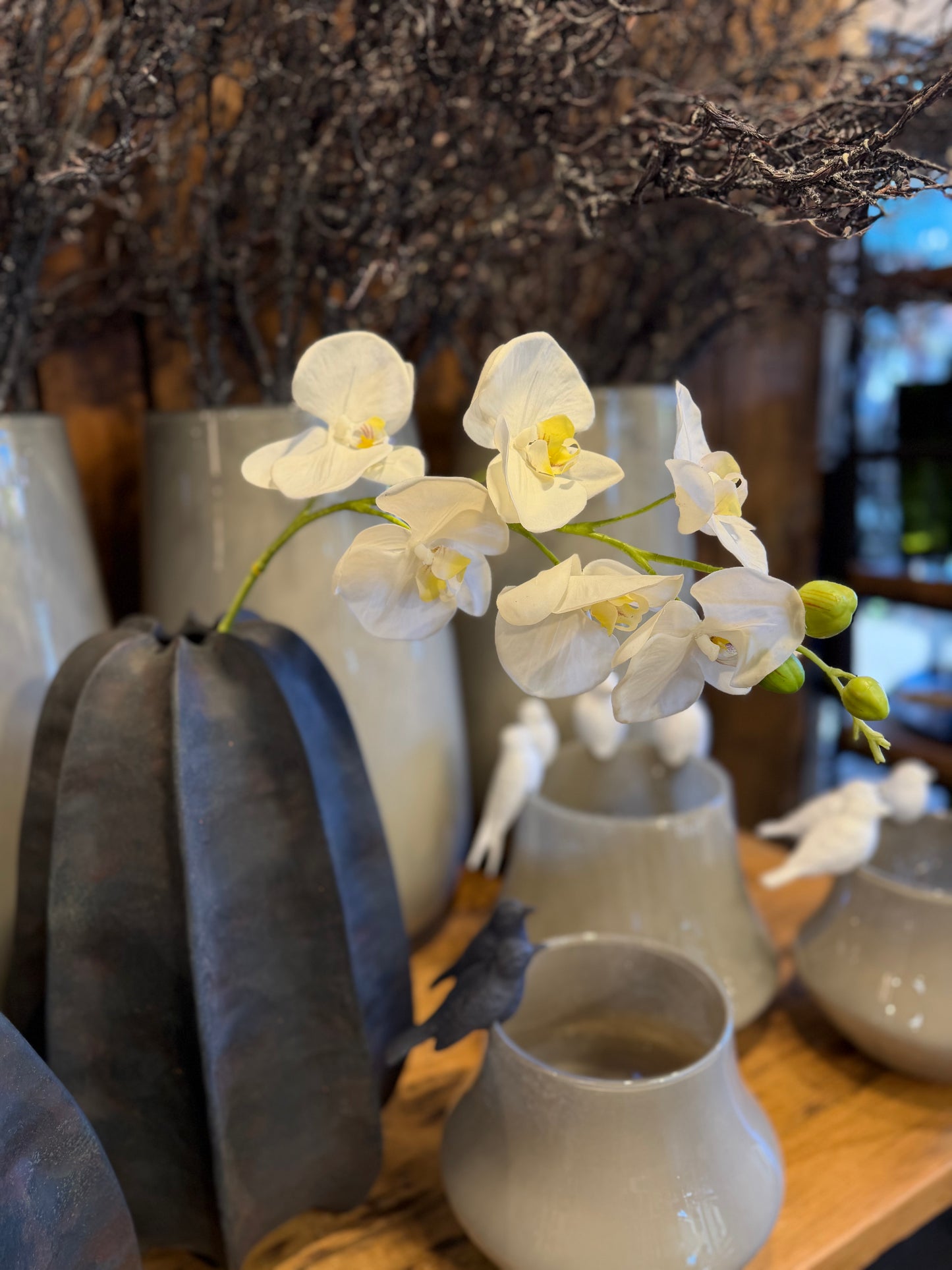 Seidenblume Orchideenzweig