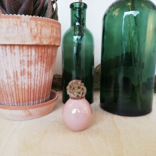 Mini Vase von Madleys