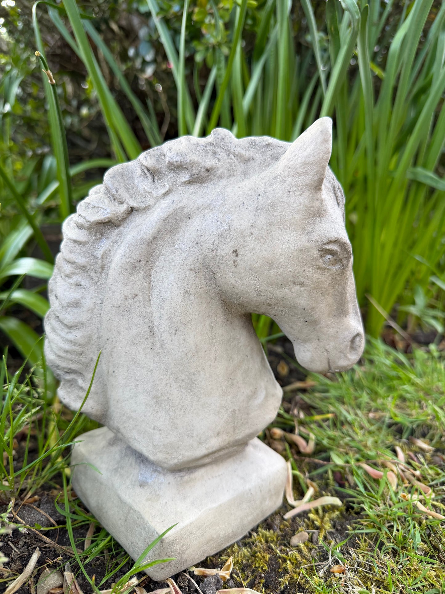 Gartenkunst Trakehner Bernadotte 🐴