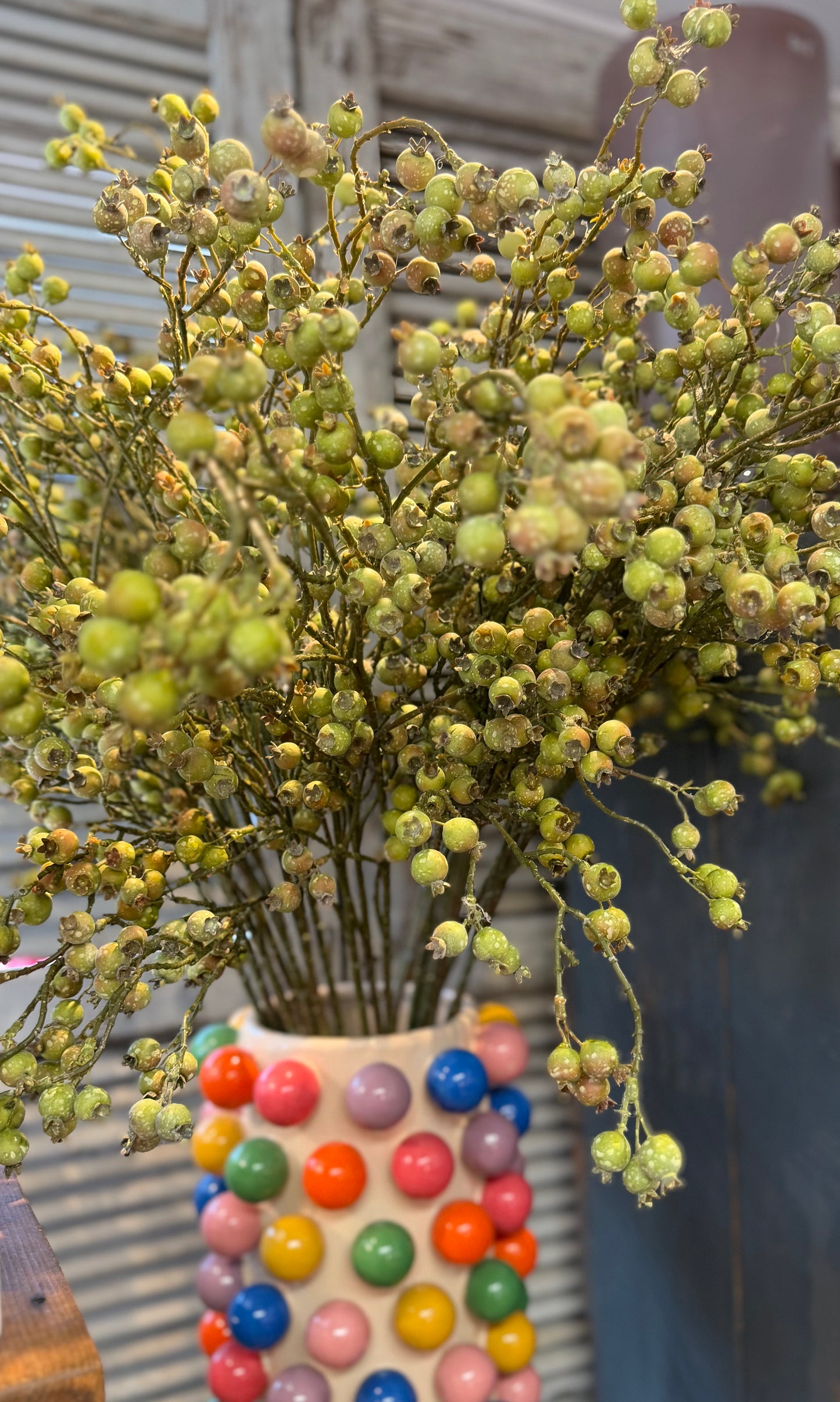 Seidenblume grüne Heidelbeeren am Ast