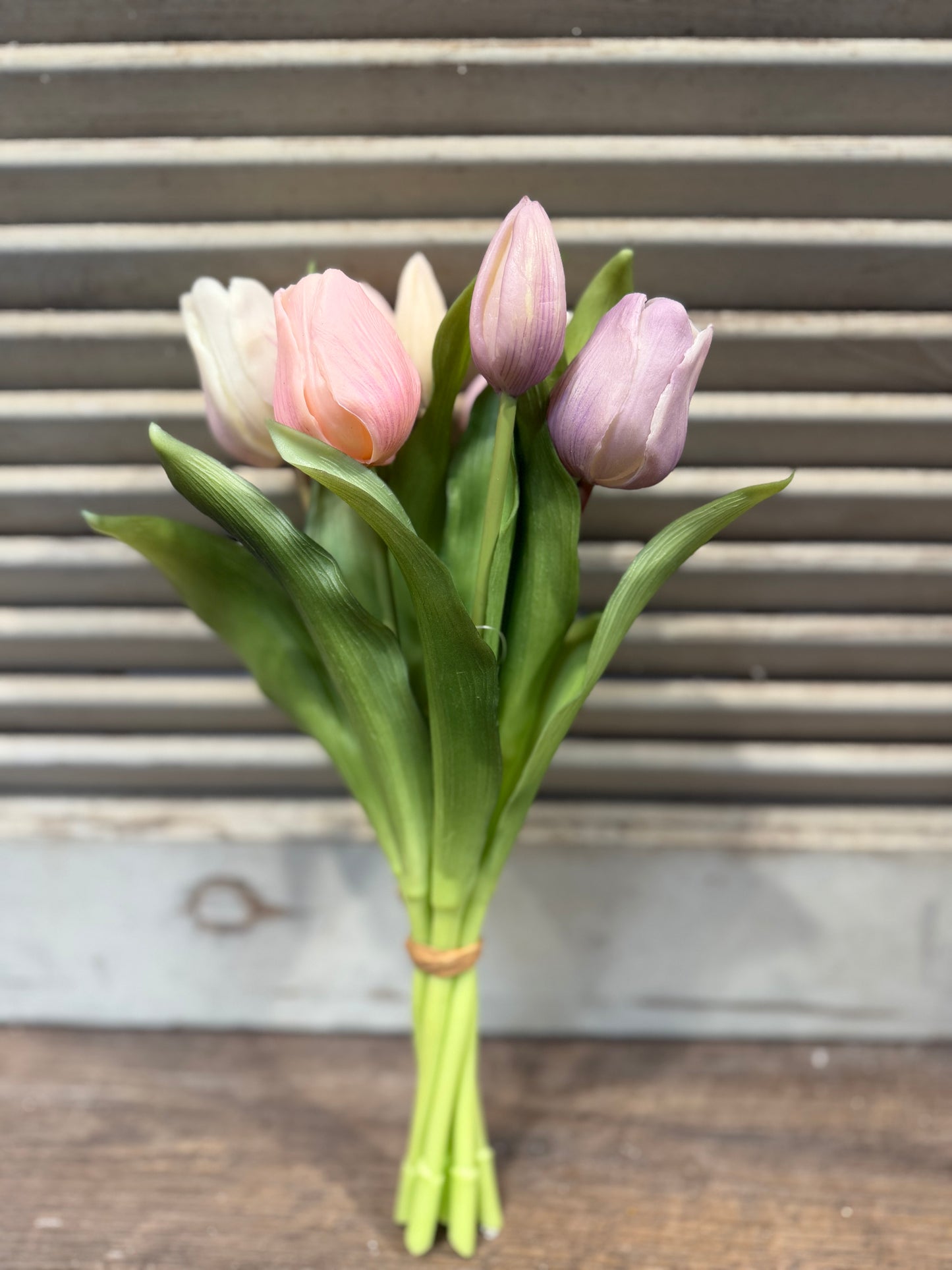 Seidenblume Tulpenbund Violett/Rosa reserviert für D.A.