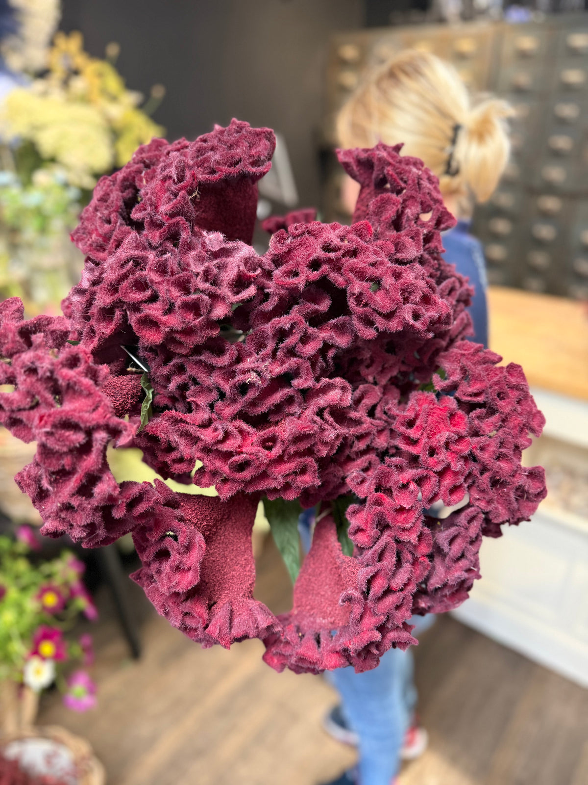 Seidenblume/Kunstblume Celosia Zweig